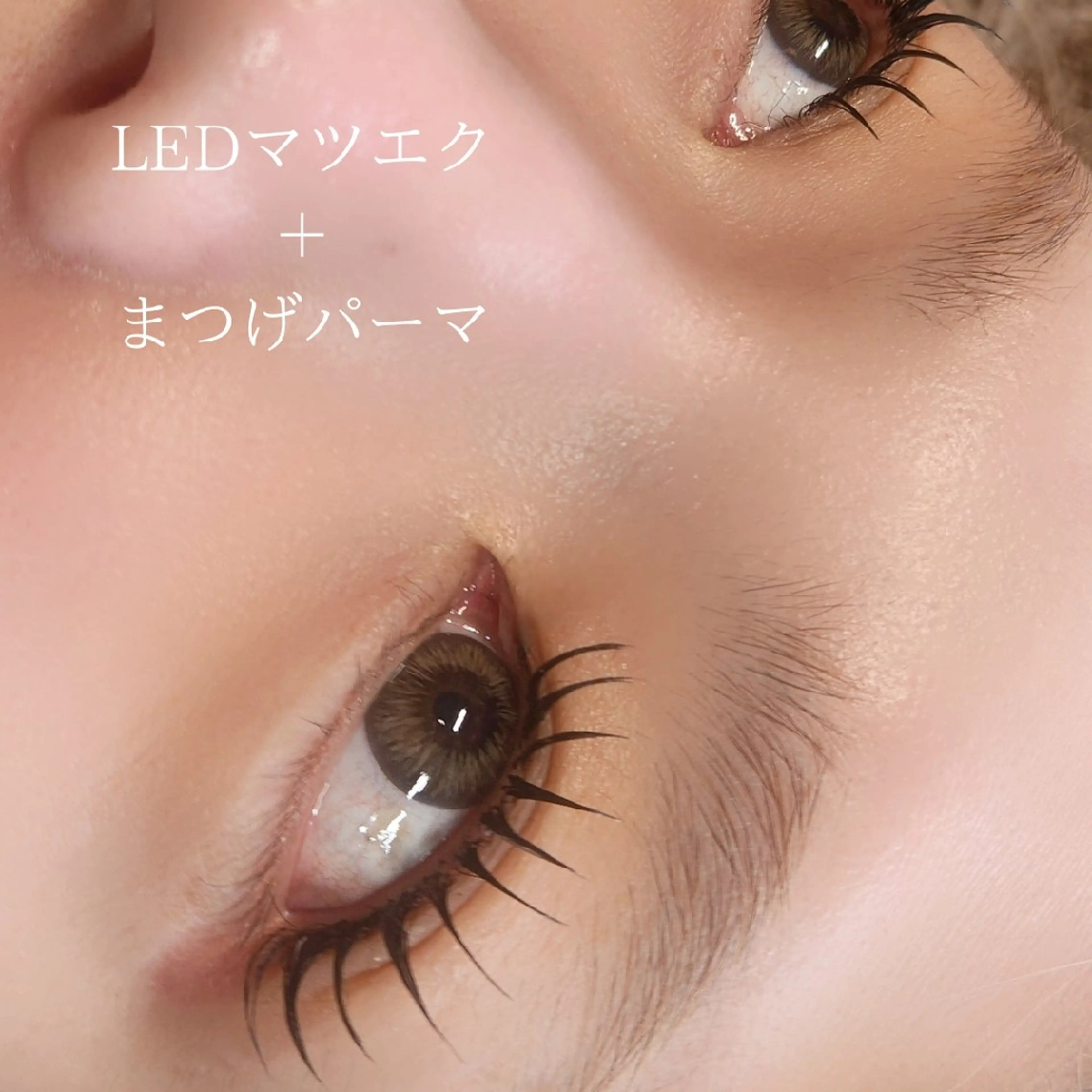 LEDマツエク(120本)＋まつ毛パーマの写真