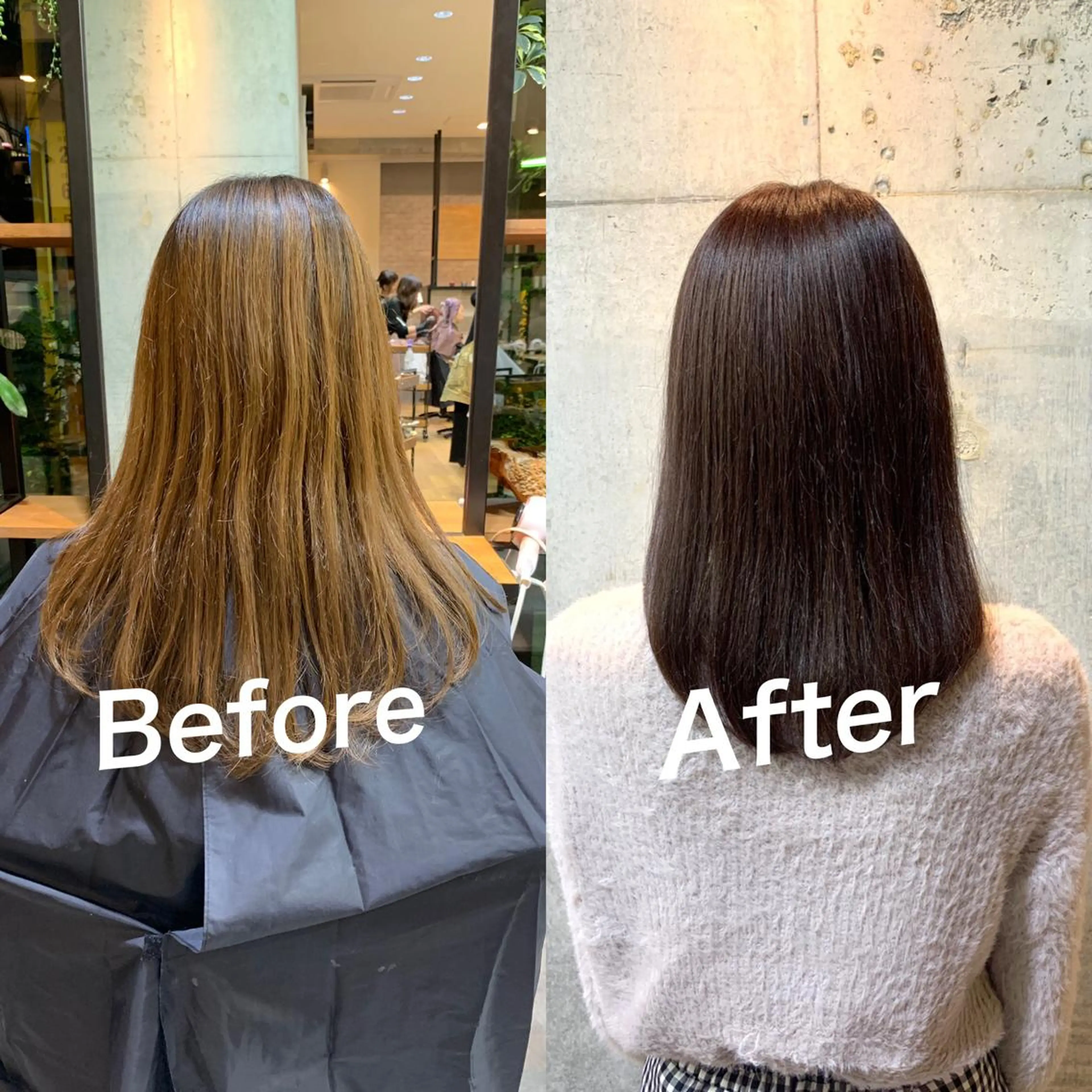 カラー カット トリートメント 佐瀬竜矢PRIMAL /portのヘアスタイル