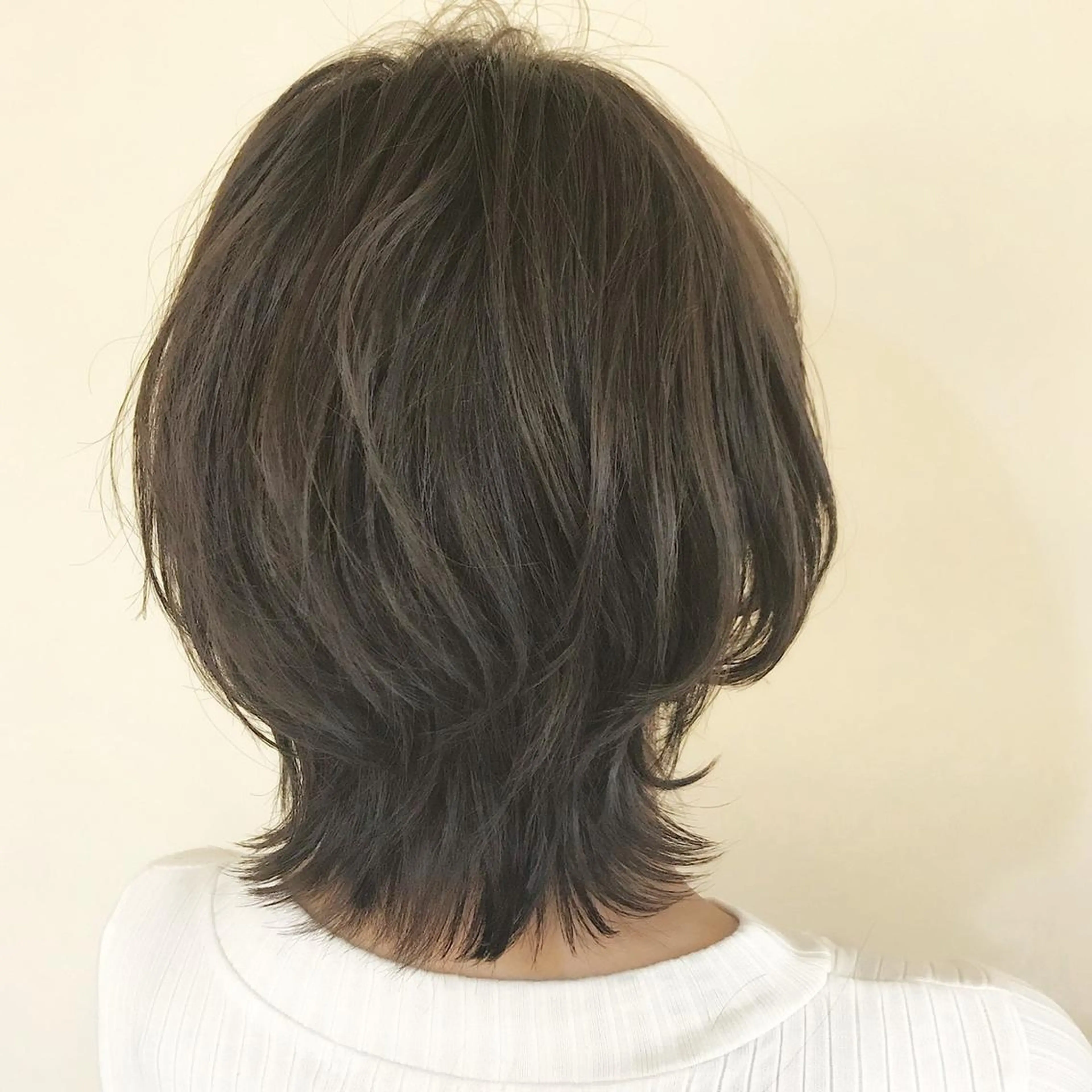 ミディアム カラー カット ヘアカラー トリートメント 大姶良 友輝の眉毛・アイブロウイメージ