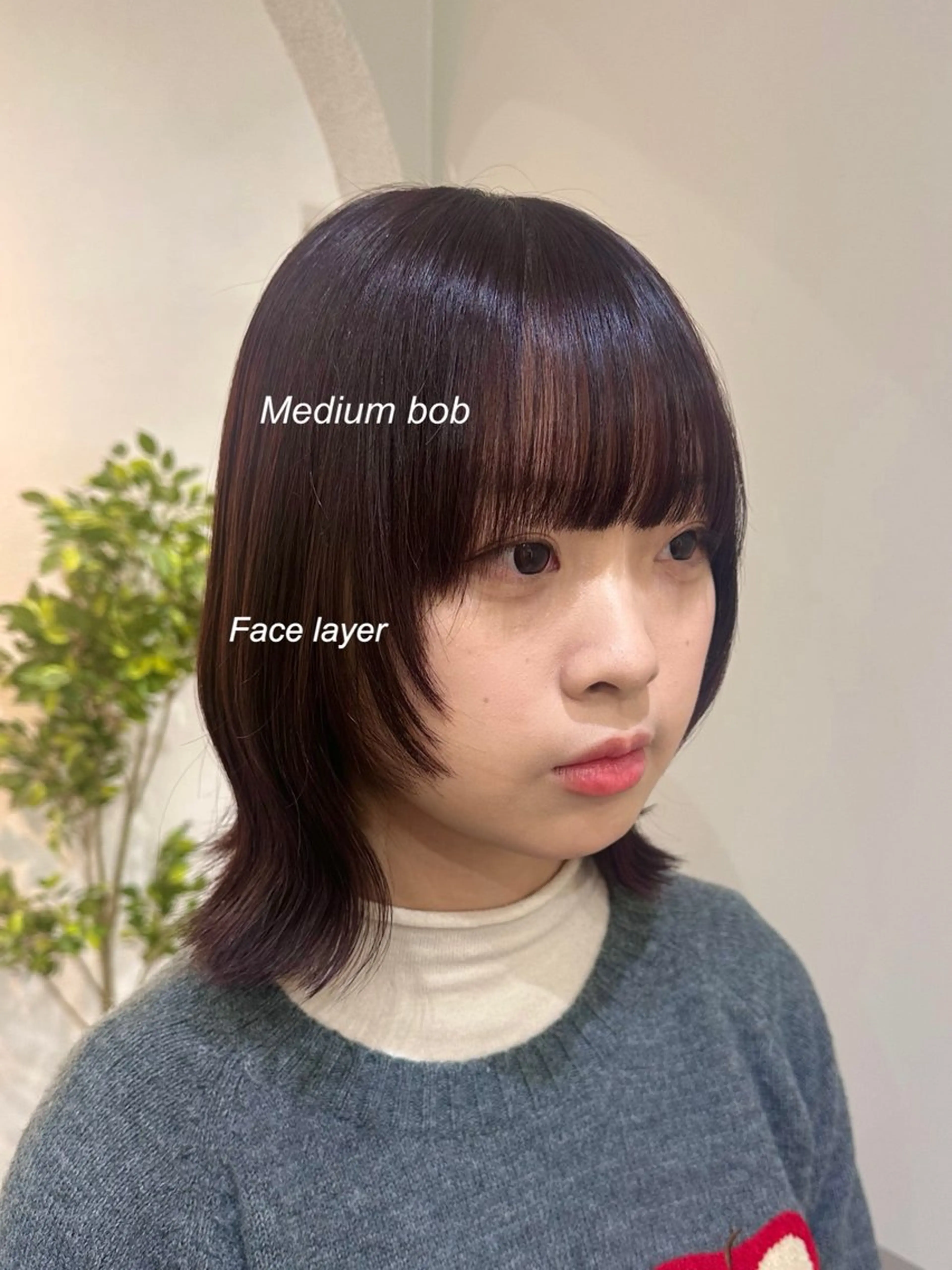 ミディアム カラー カット ヘアカラー トリートメント 🪞個室サロン/韓国 艶髪/keito🪞のヘアスタイル