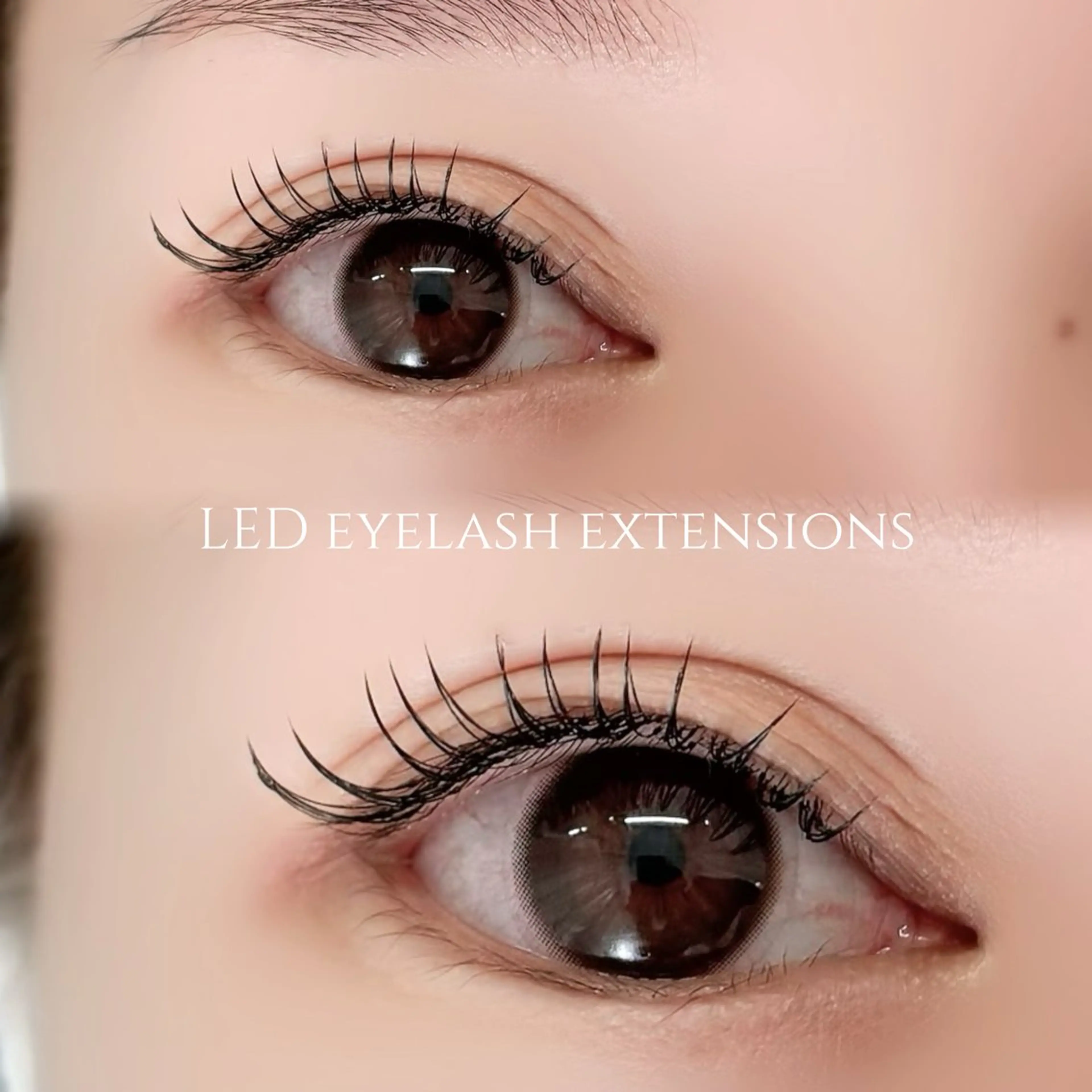 12/8限定🌟当日ゲリラクーポン🪽💜《LEDエクステ１時間枠でつけられるだけ》初回オフ無料❗️❗️の写真