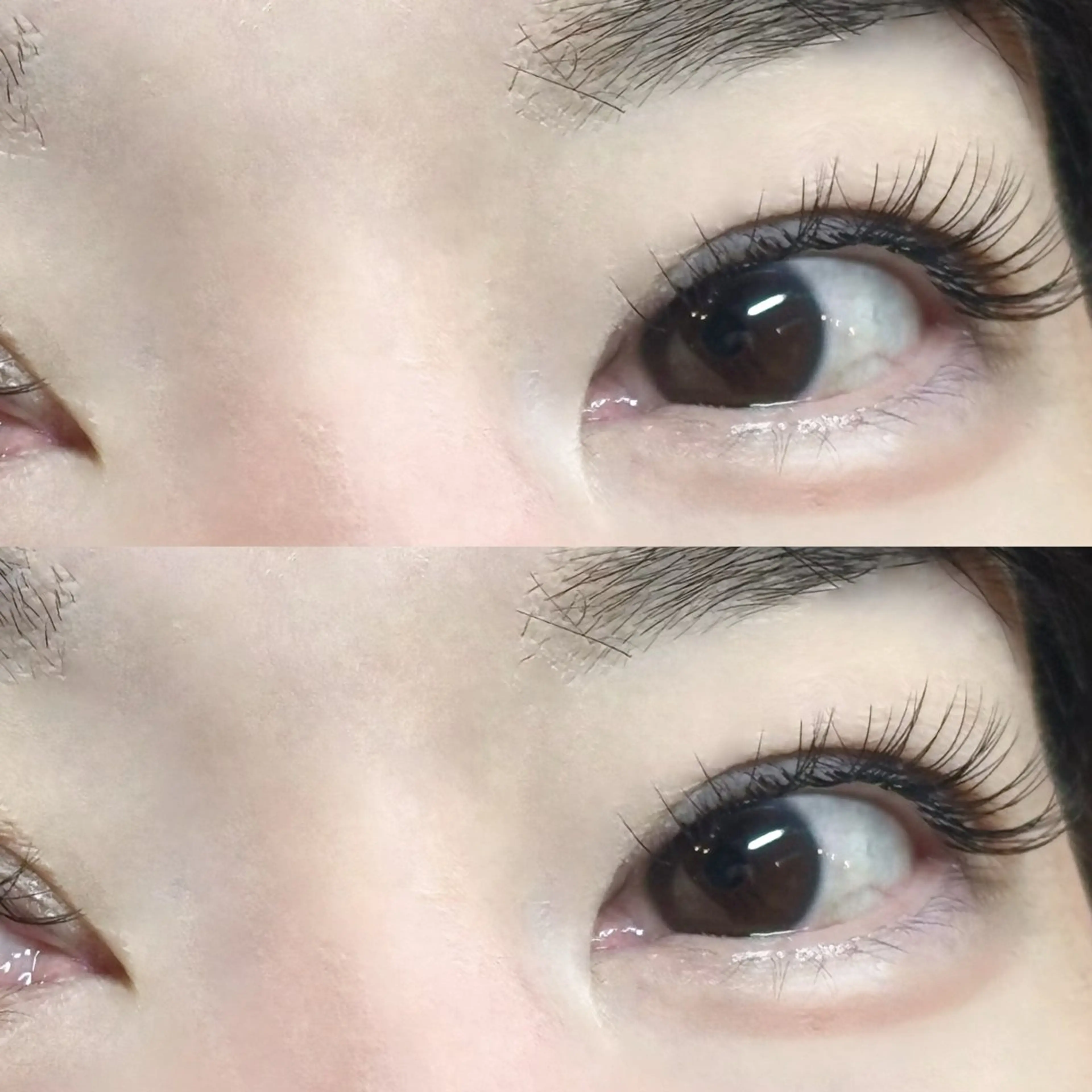 オフありフラットラッシュ120本の写真