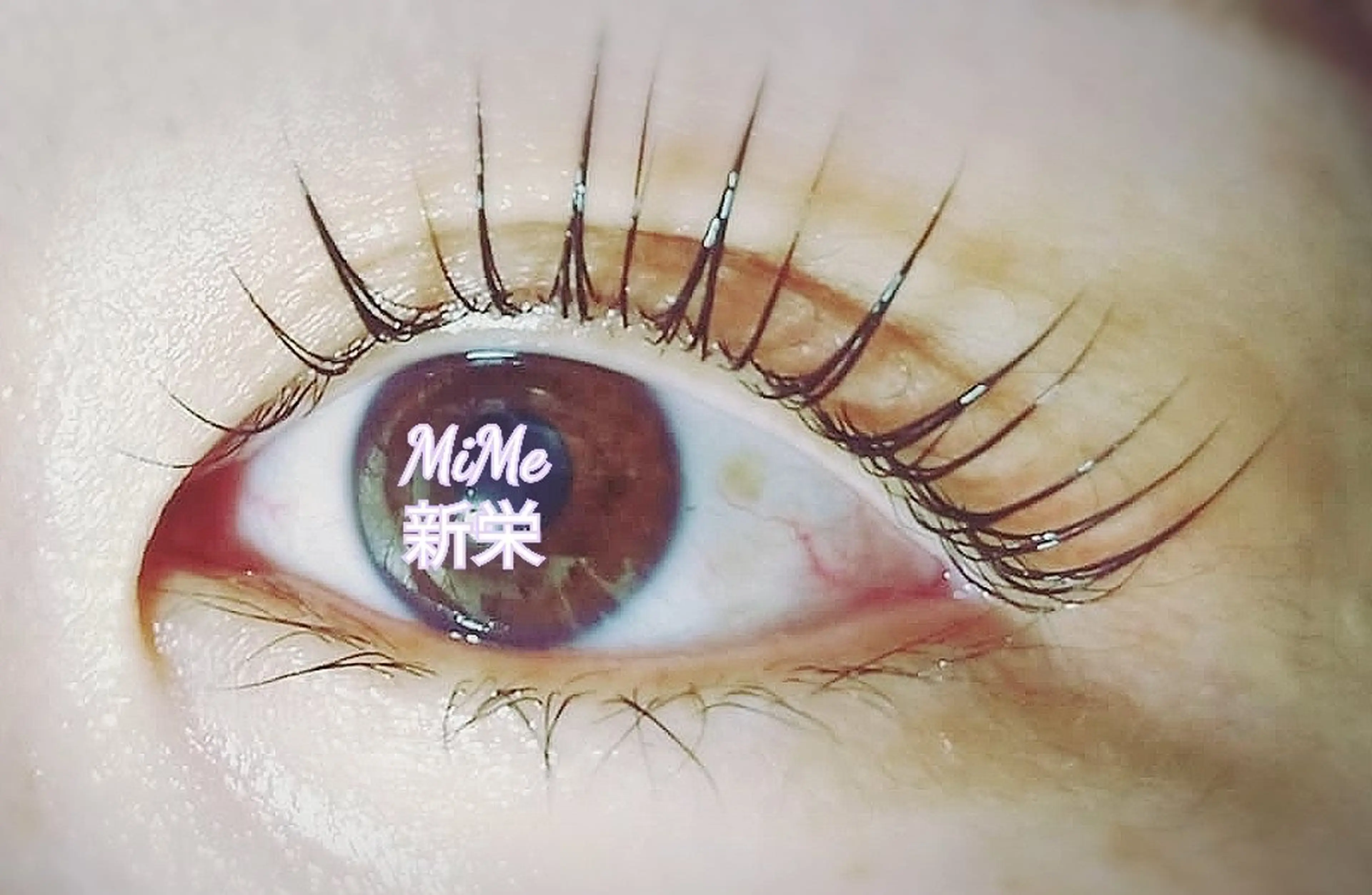 マツエク・マツパ パリジェンヌラッシュリフト ミミー 南のマツエク・マツパデザイン