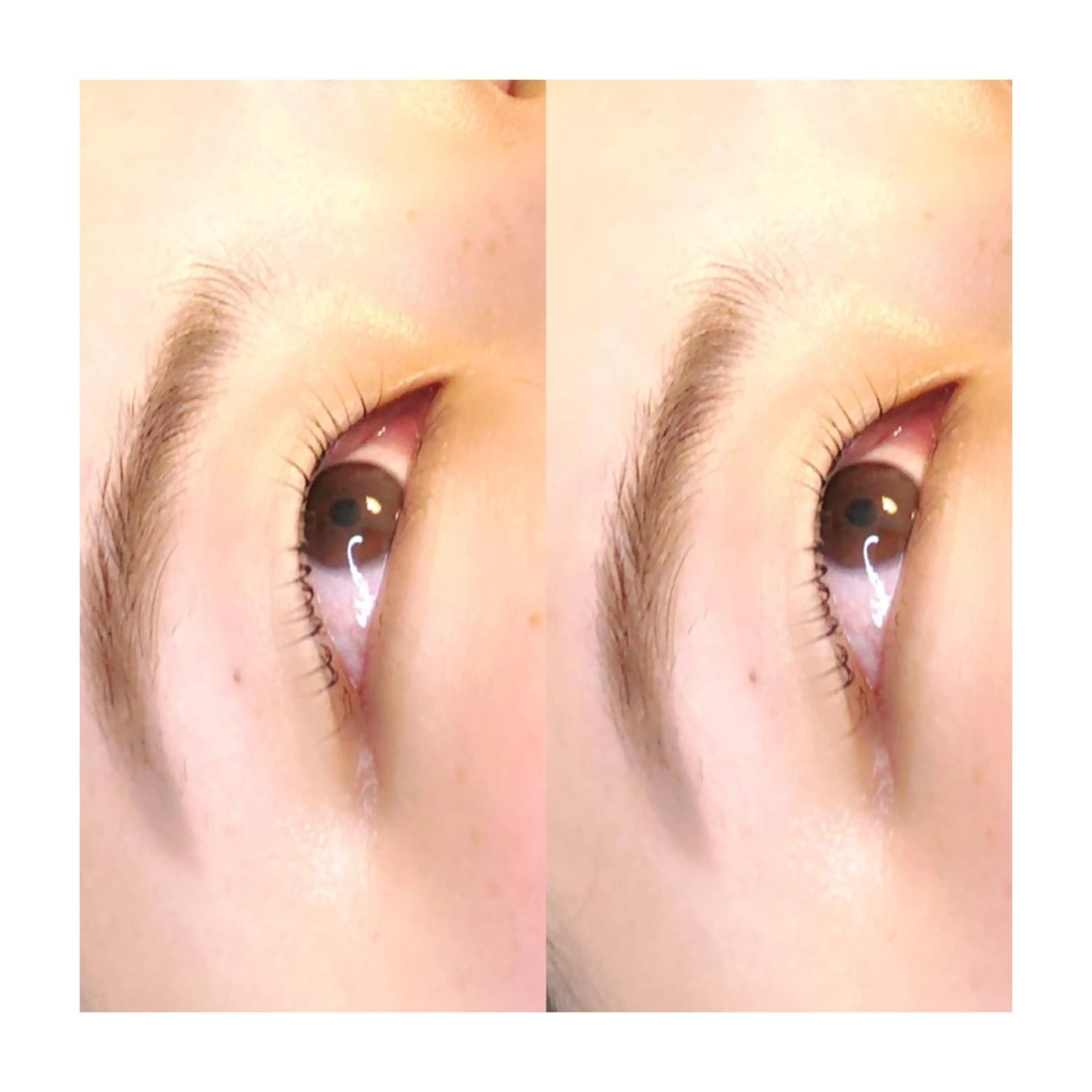 マツエク・マツパ アイブロウ ケラチンラッシュリフト アイラッシュサロン GREENのマツエク・マツパデザイン
