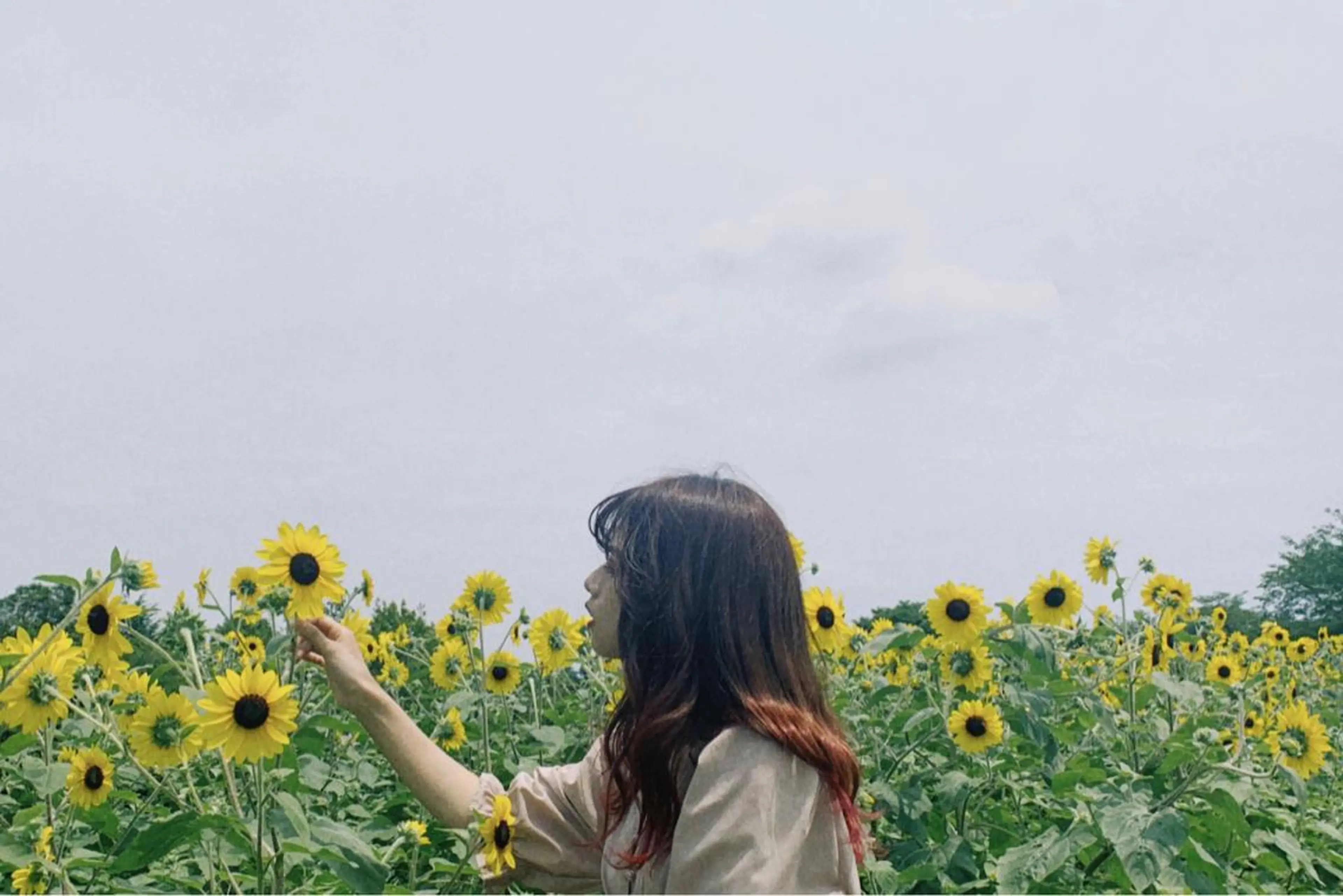 ロング カラー 川元 汐音のヘアスタイル