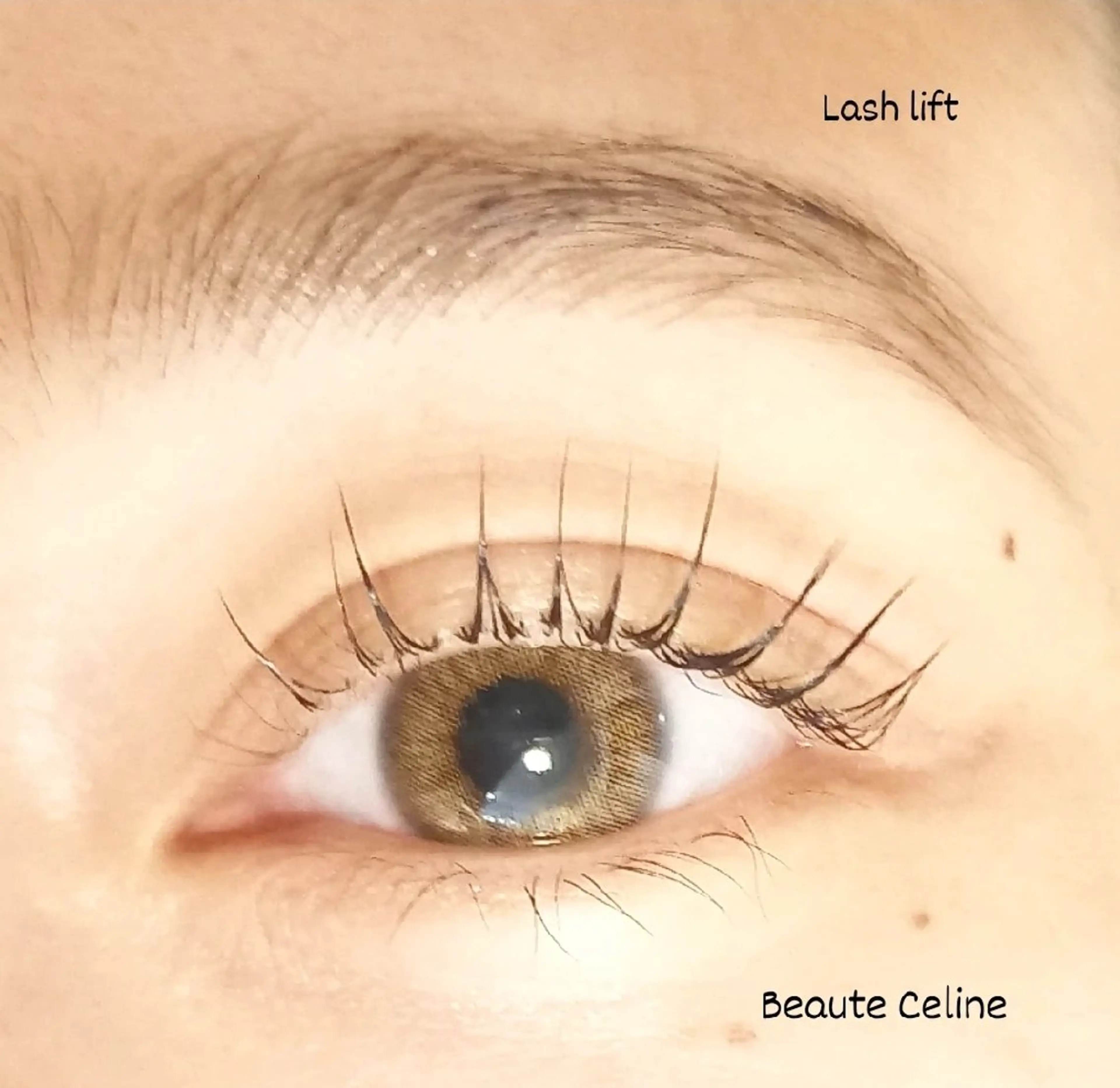 マツエク・マツパ マツパ beaute.celine所属・ぱっちりパーマ🌛 ﾎﾞｰﾃCelineのマツエク・マツパデザイン