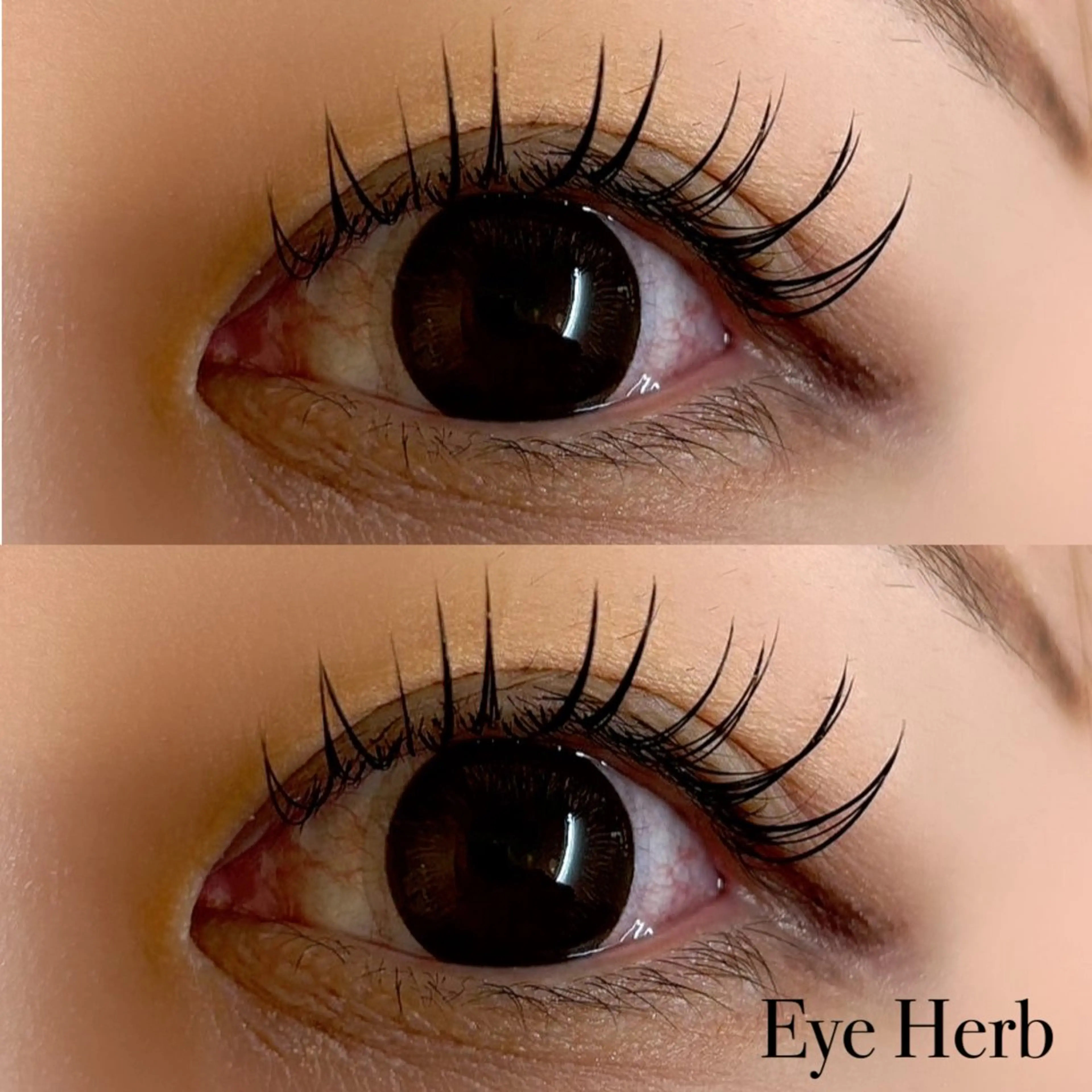 マツエク・マツパ フラットラッシュ マツエク EyeHerb ♡rinのマツエク・マツパデザイン