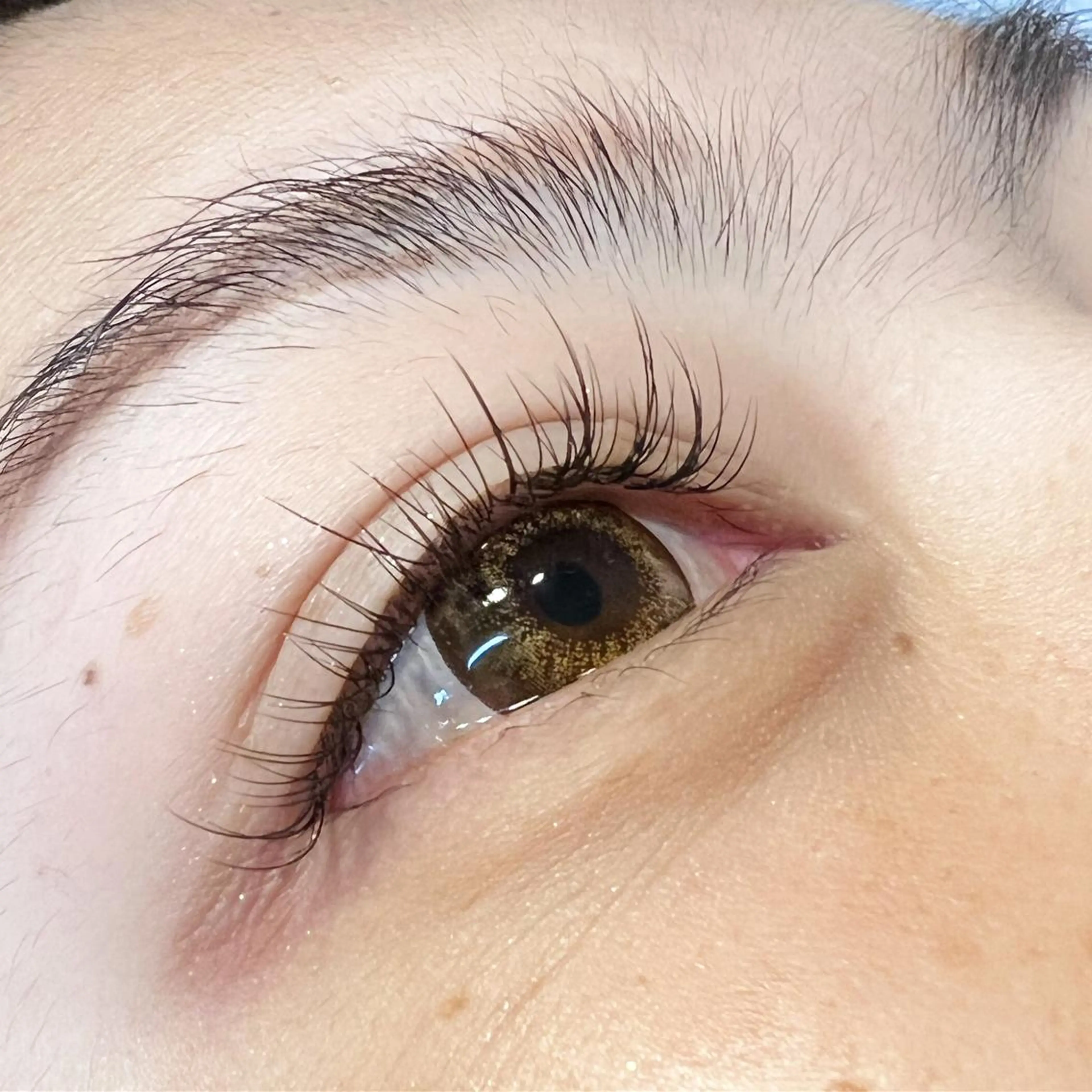 マツエク・マツパ フラットラッシュ マツエク Sifa eyelashのマツエク・マツパデザイン