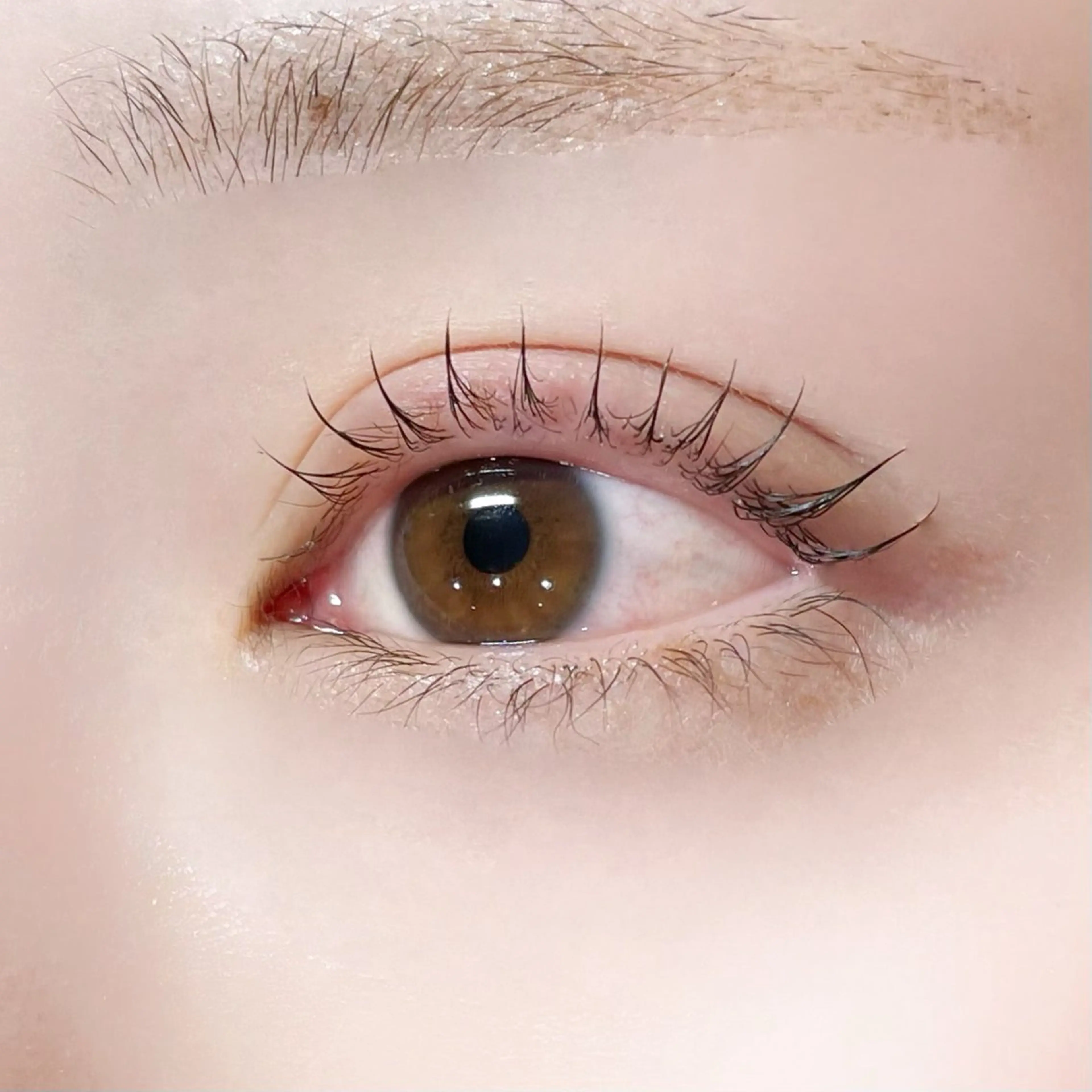 マツエク・マツパ マツパ 櫻井 怜華のマツエク・マツパデザイン