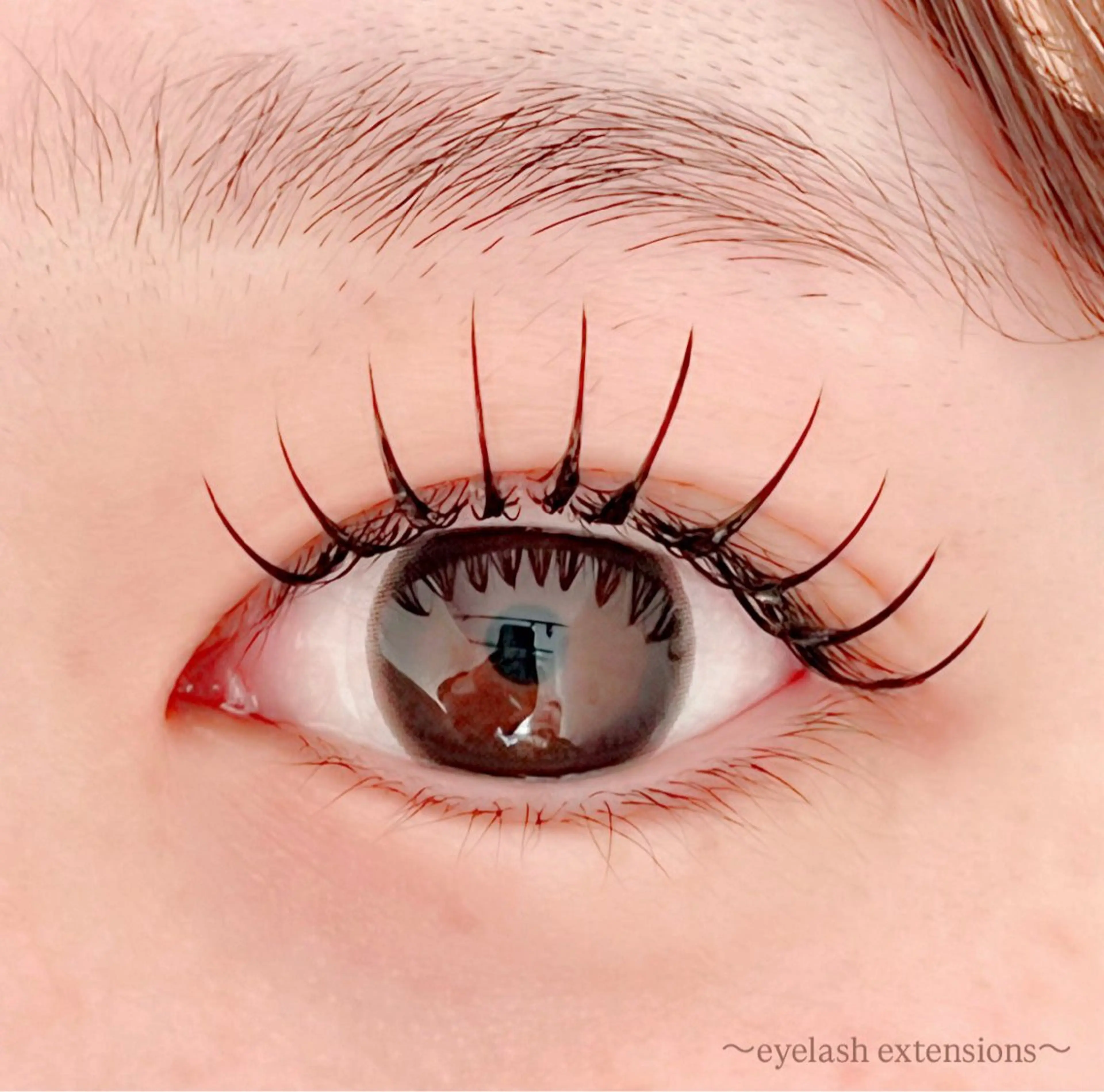 マツエク・マツパ フラットラッシュ マツエク 田村 莉子のマツエク・マツパデザイン