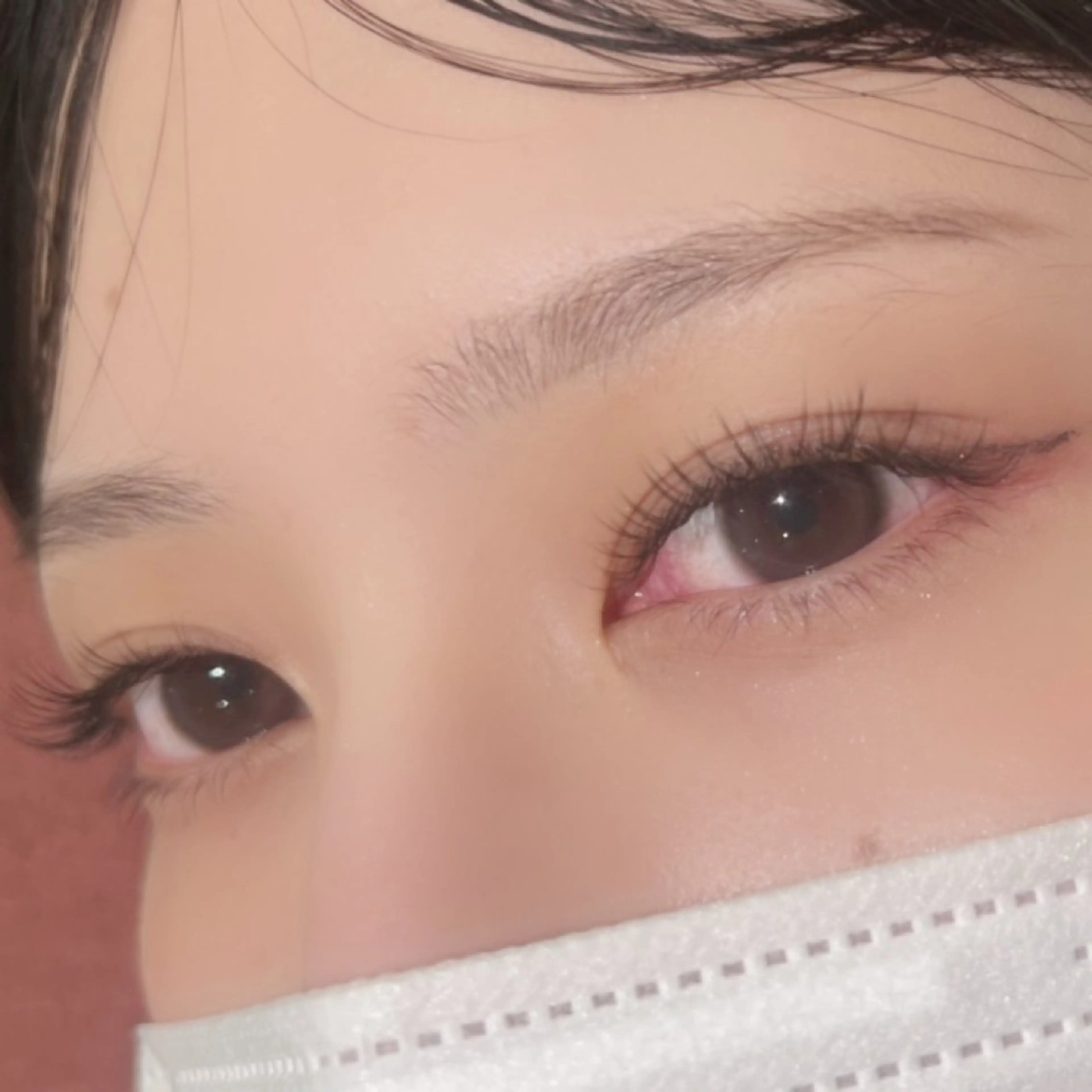 フラットラッシュ80本の写真