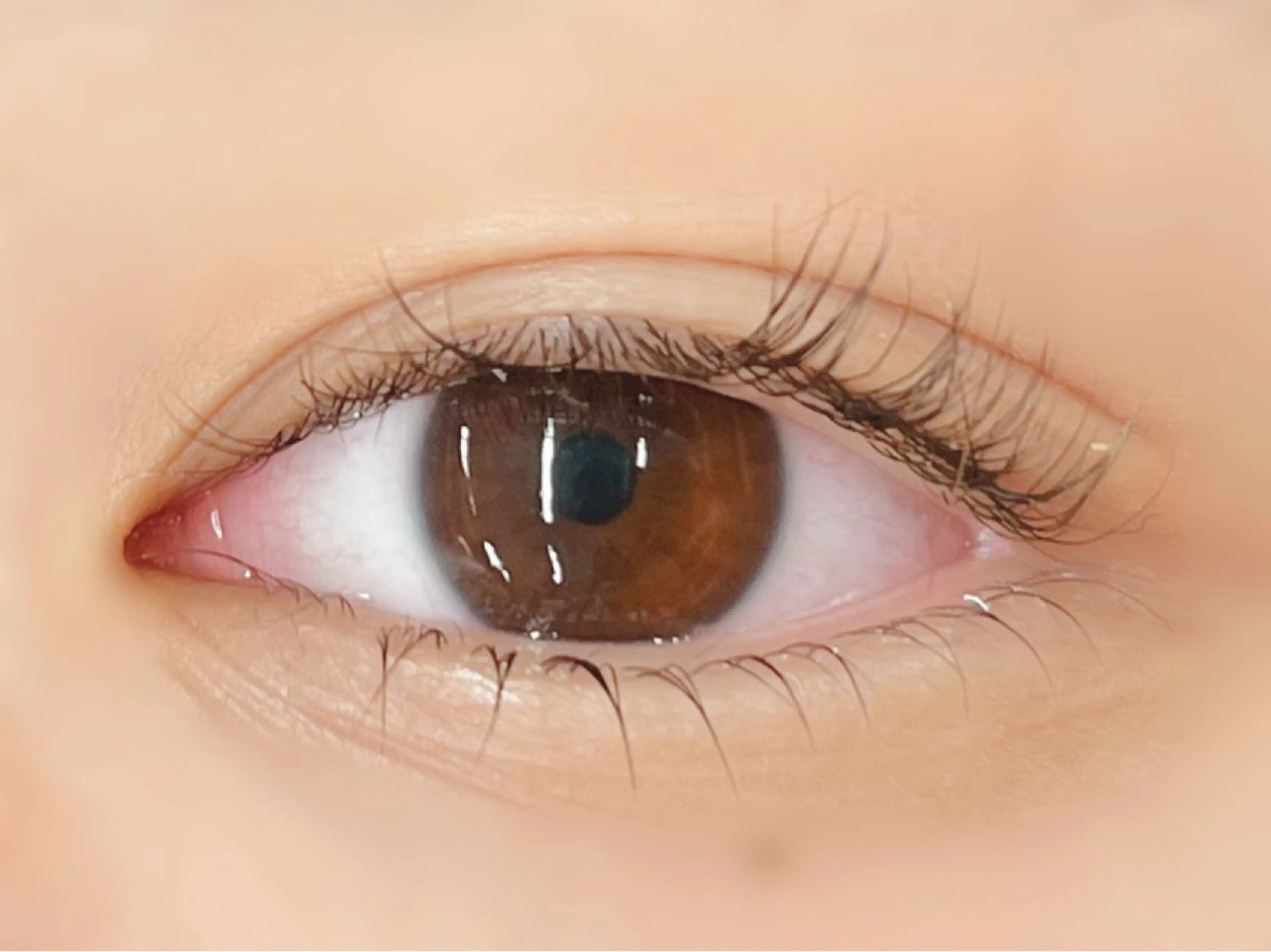 マツエク・マツパ 一重×まつ毛パーマ マツパ 🪼ひとみ🪼半個室 Amour菊川店のマツエク・マツパデザイン