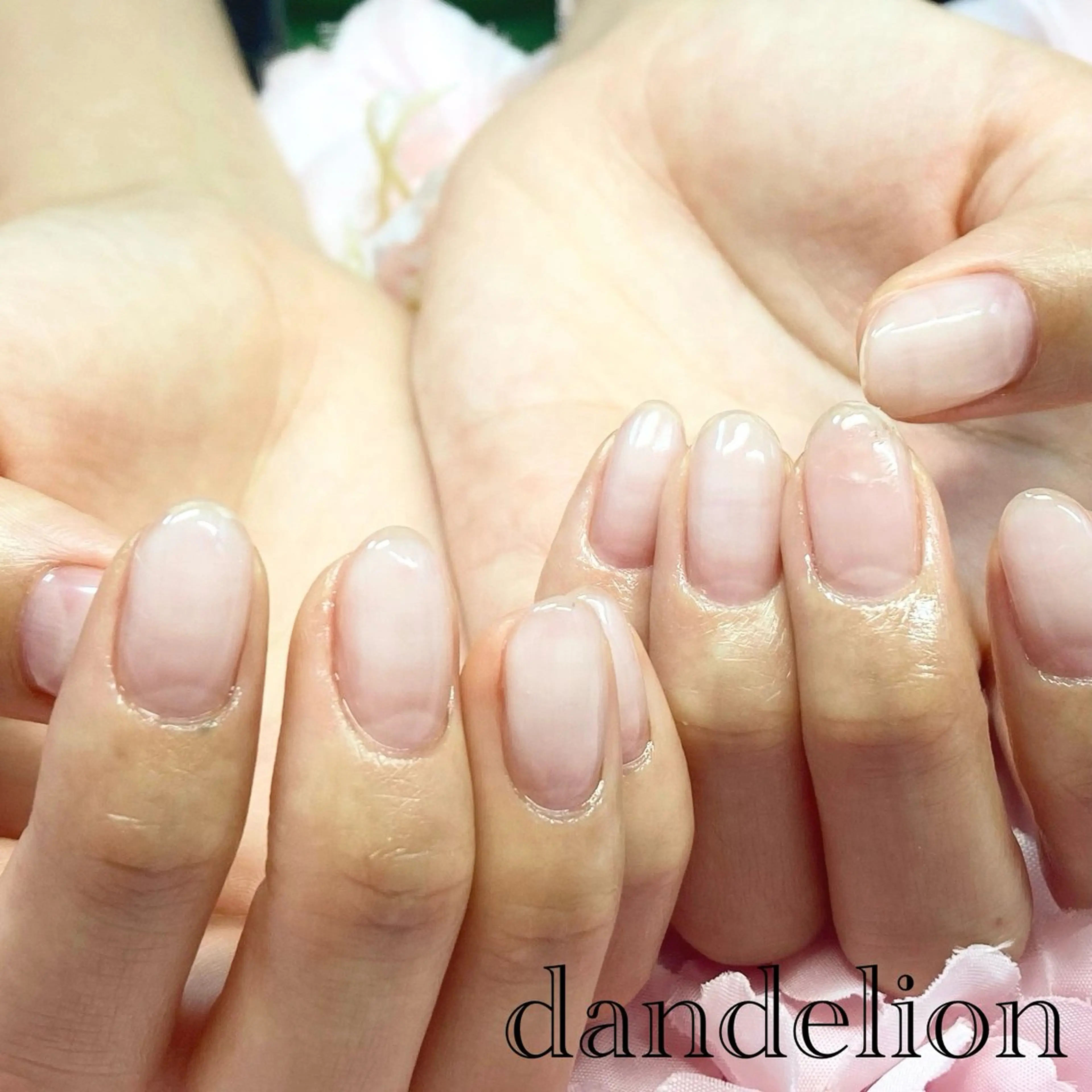 ネイル ハンドネイル ハンドケア dandelion ダンデライオンのネイルデザイン