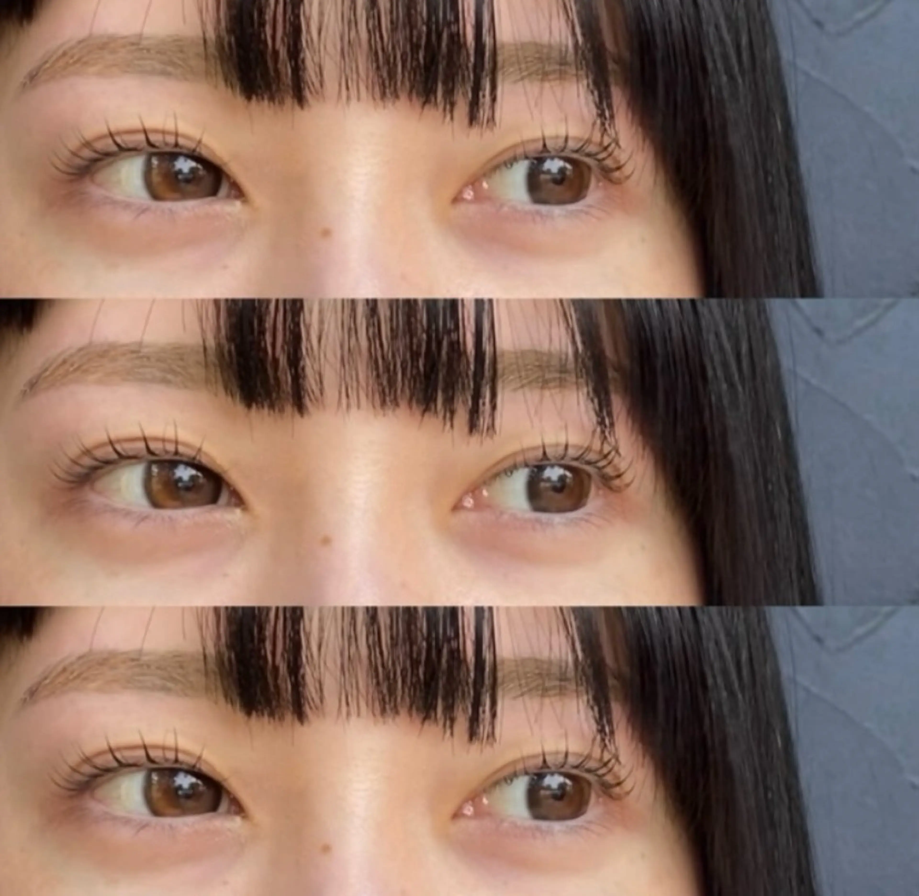 【1日1名様限定】選べるまつげパーマ×眉スタイリングWaxの写真
