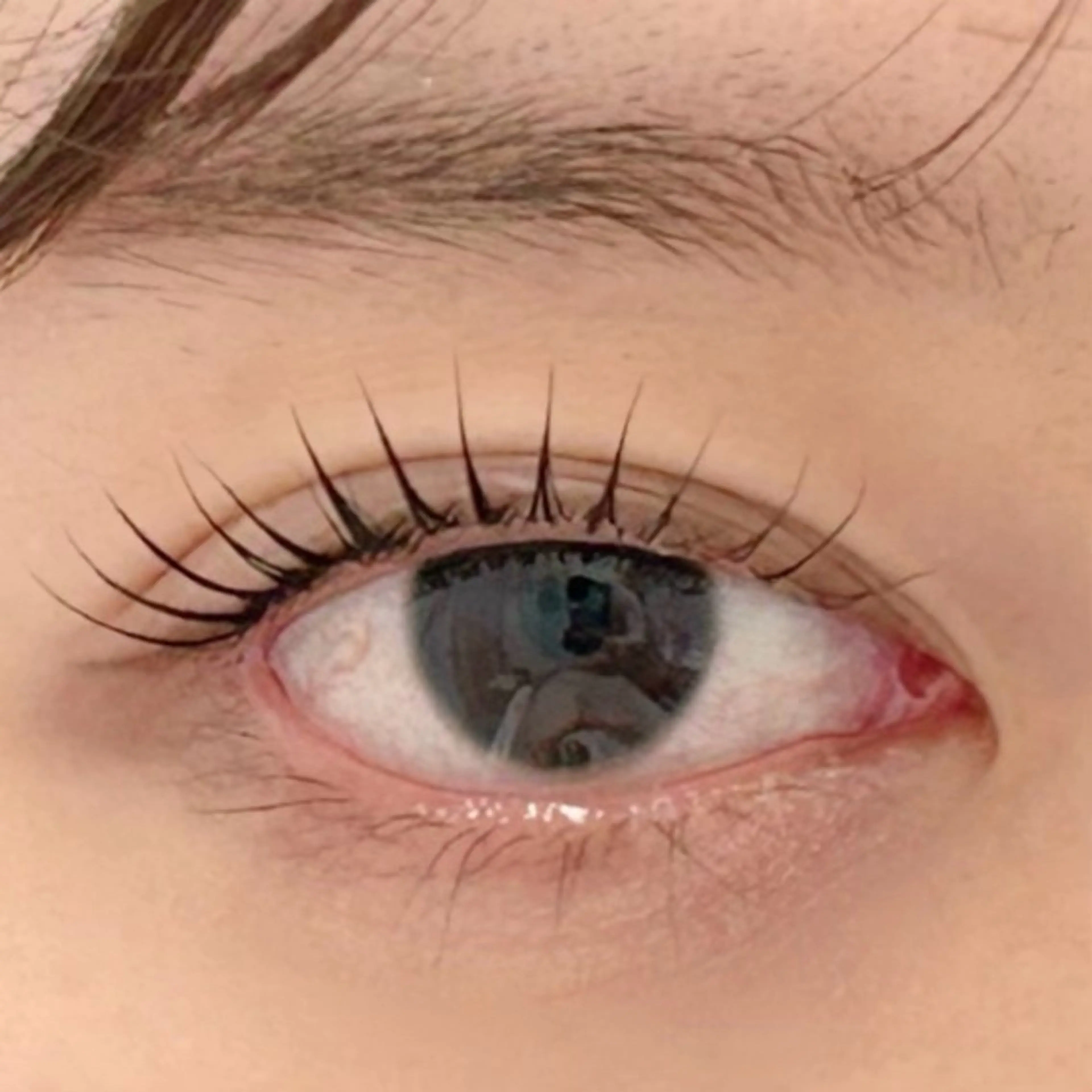 マツエク・マツパ パリジェンヌラッシュリフト 一重×まつ毛パーマ BellFlower Aki（眉・まつげ）のマツエク・マツパデザイン