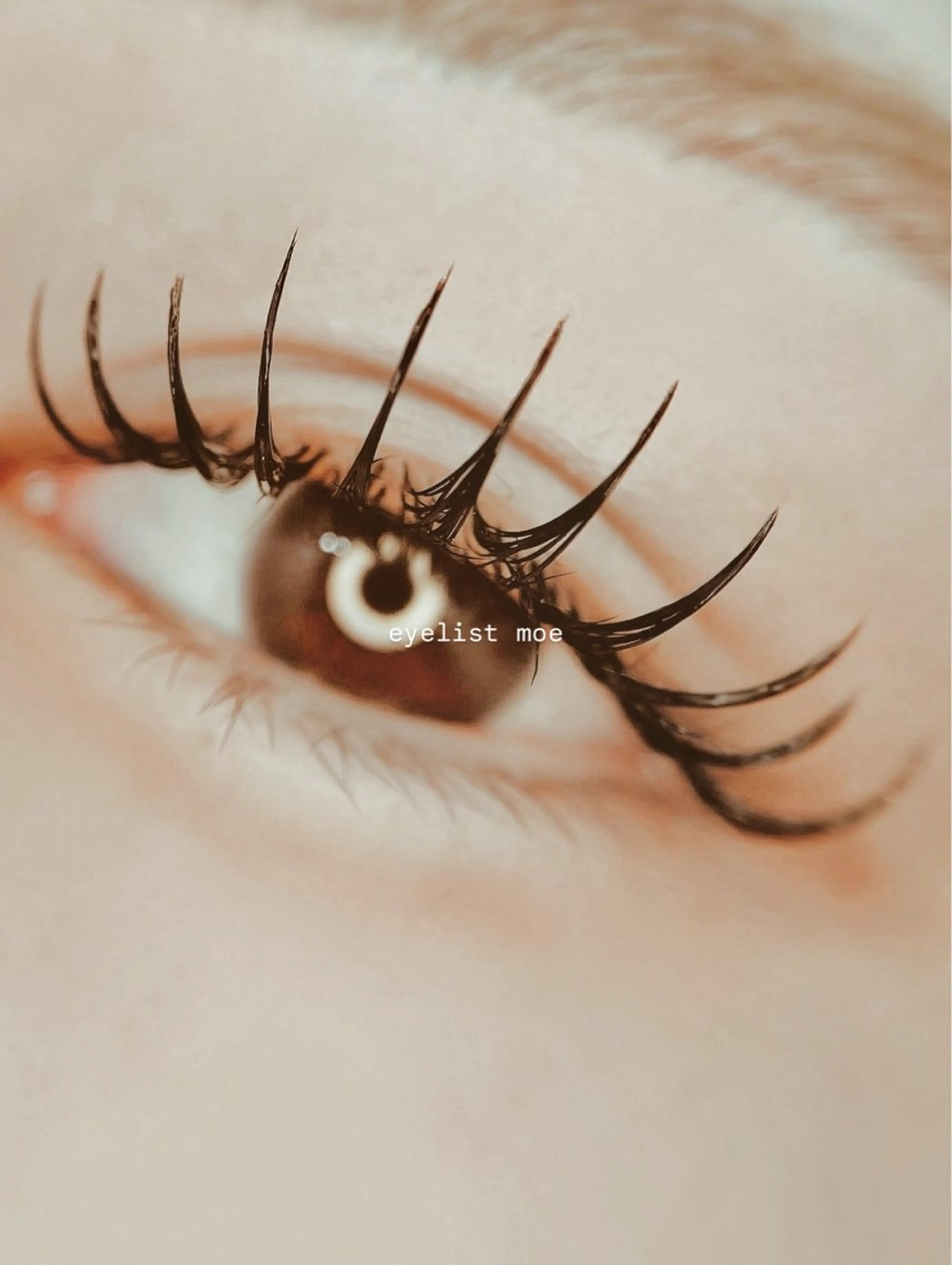 ▫️ 【 新規限定 】ダブルフラットラッシュ60 - 80束（オフ込／コーティング付）✨濃密ボリュームeye🌙🌿‬の写真