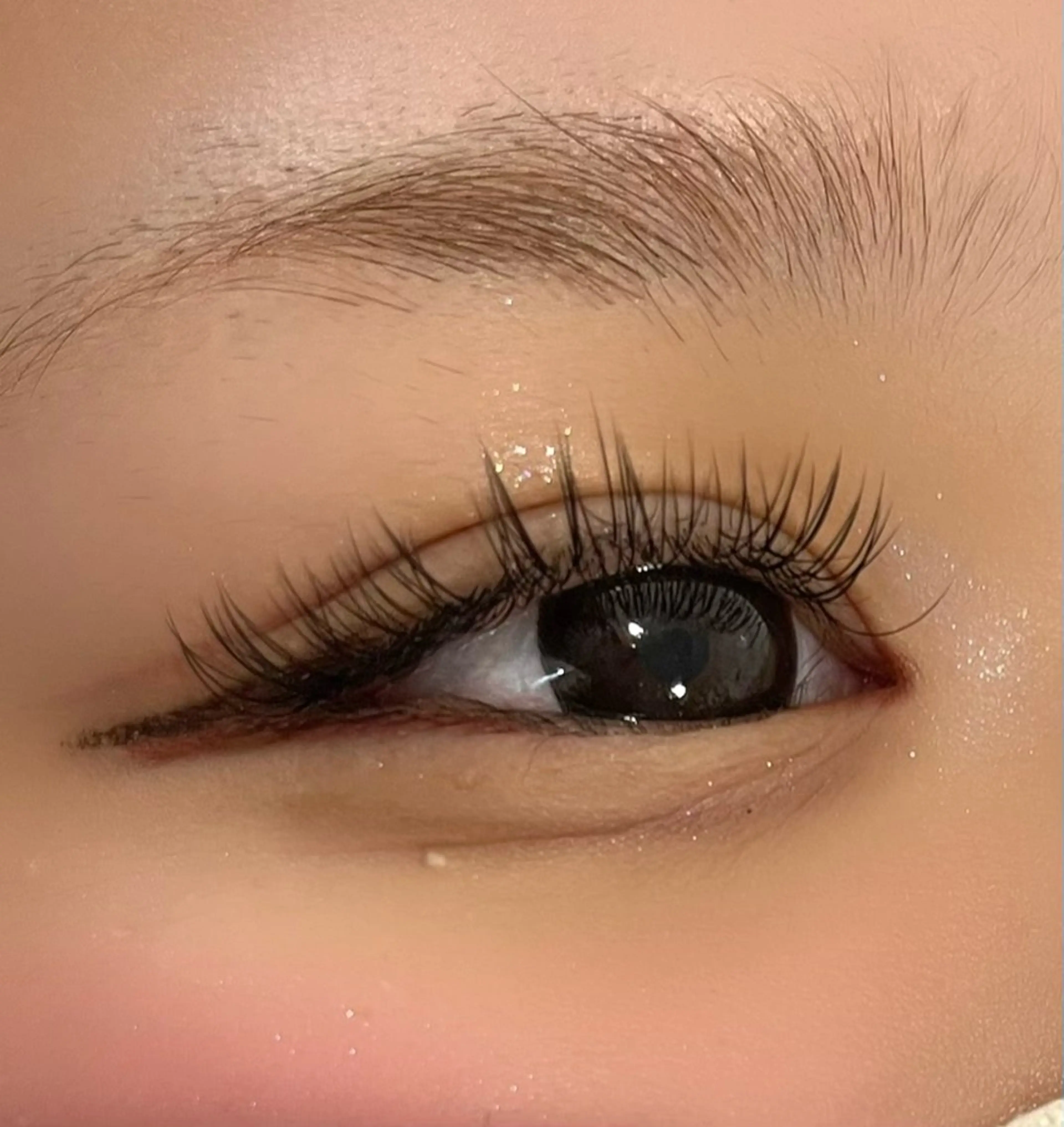 12/18限定 【100本フラットラッシュ/マツエクモデル募集】 ※詳細必読※の写真