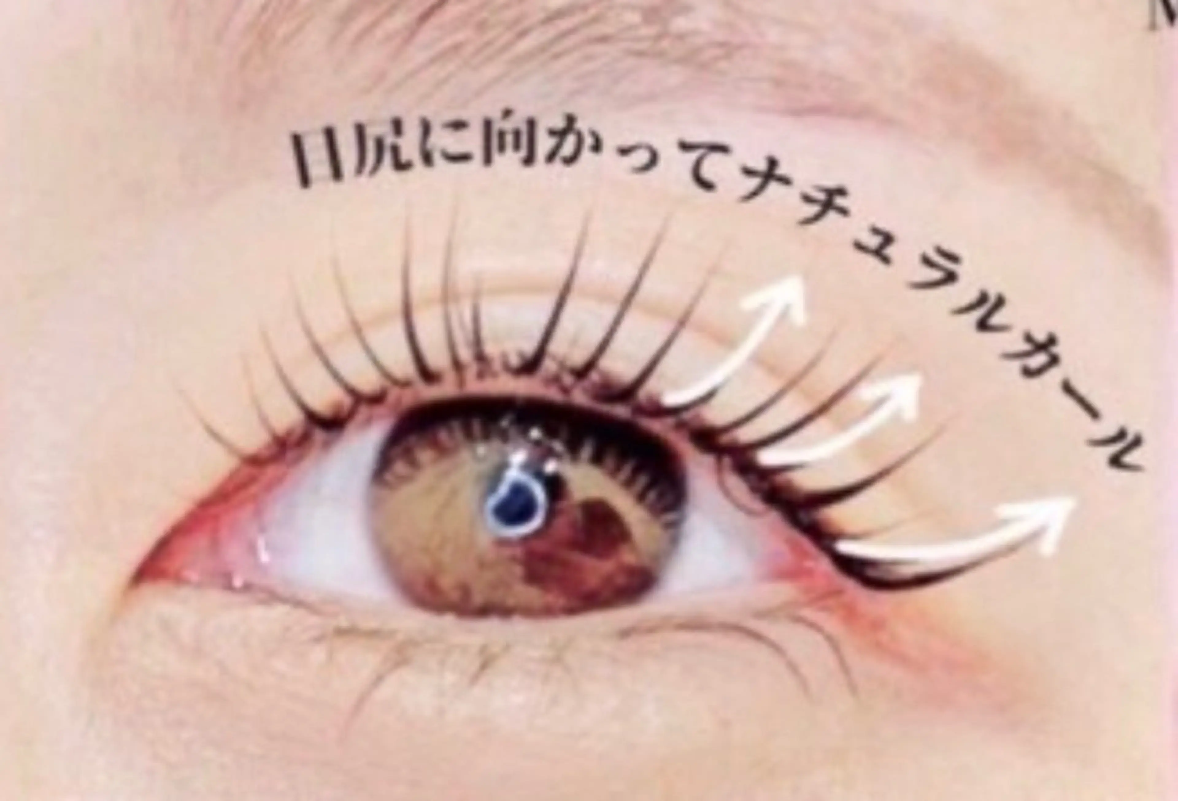 🧚《Open限定価格》メーテルラッシュリフト🧚 （コーティング付き）の写真