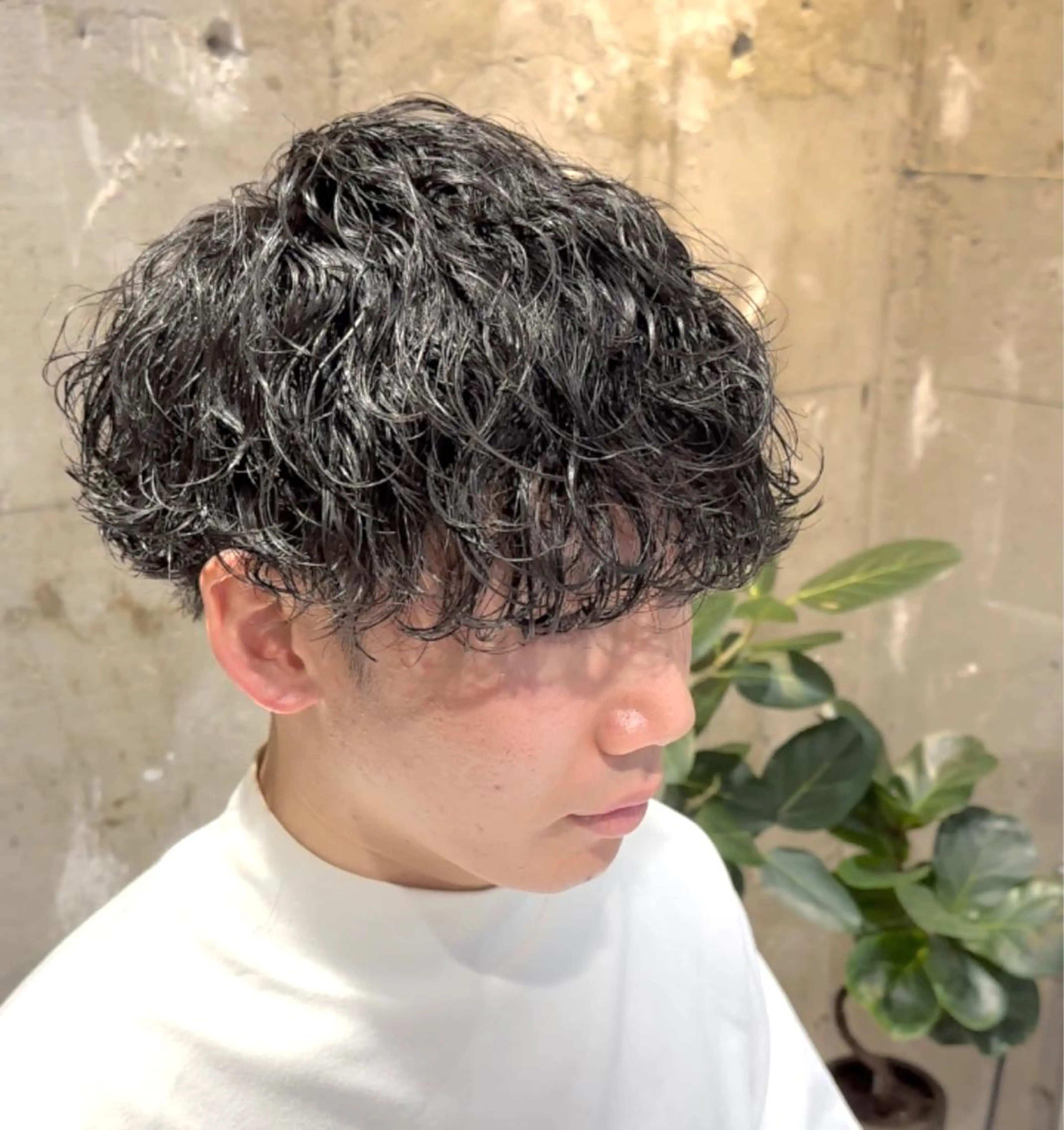 ショート メンズ 波巻きパーマ 似合わせスタイル 山本風太のヘアスタイル