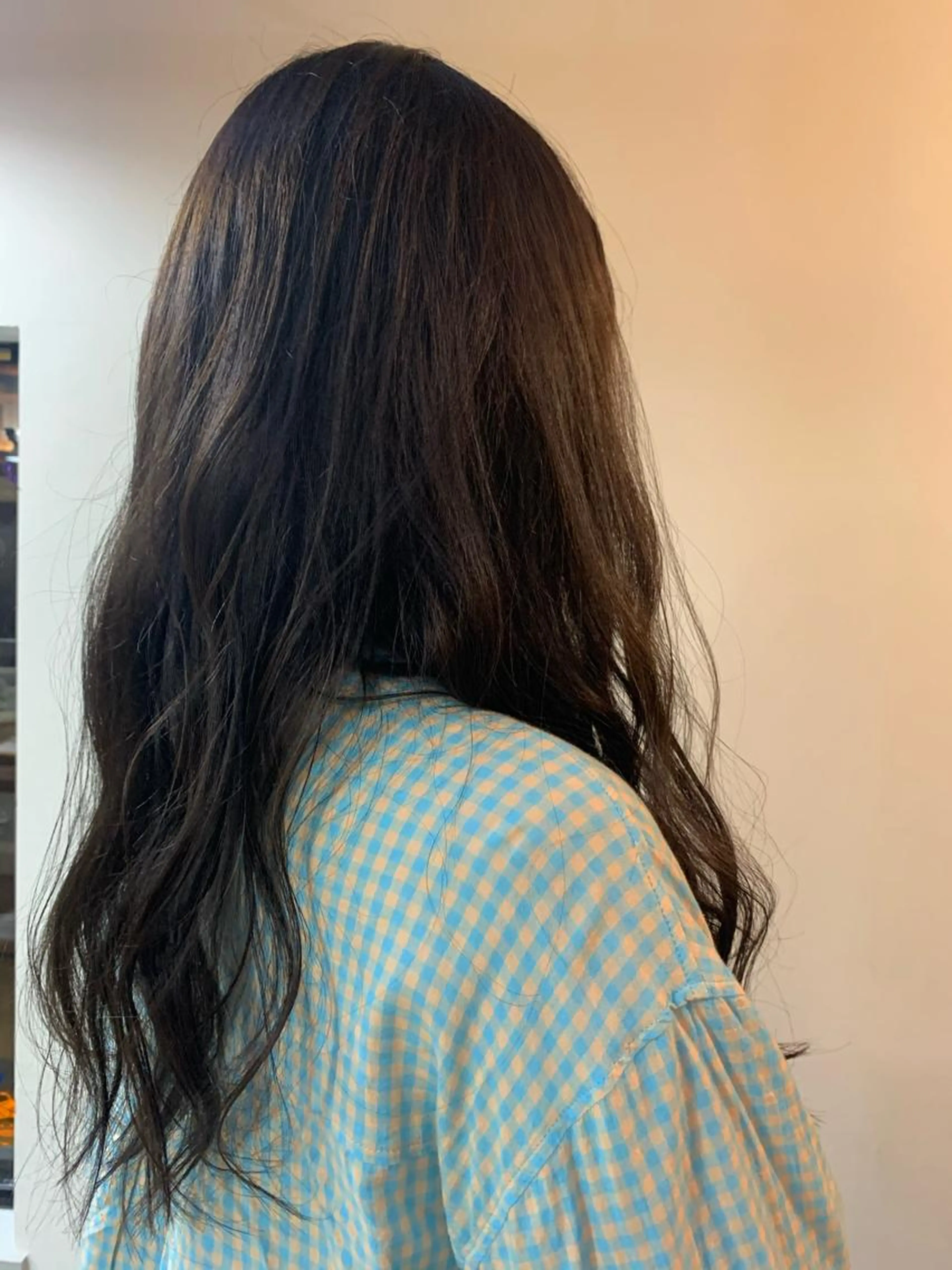 ワンカラーの写真