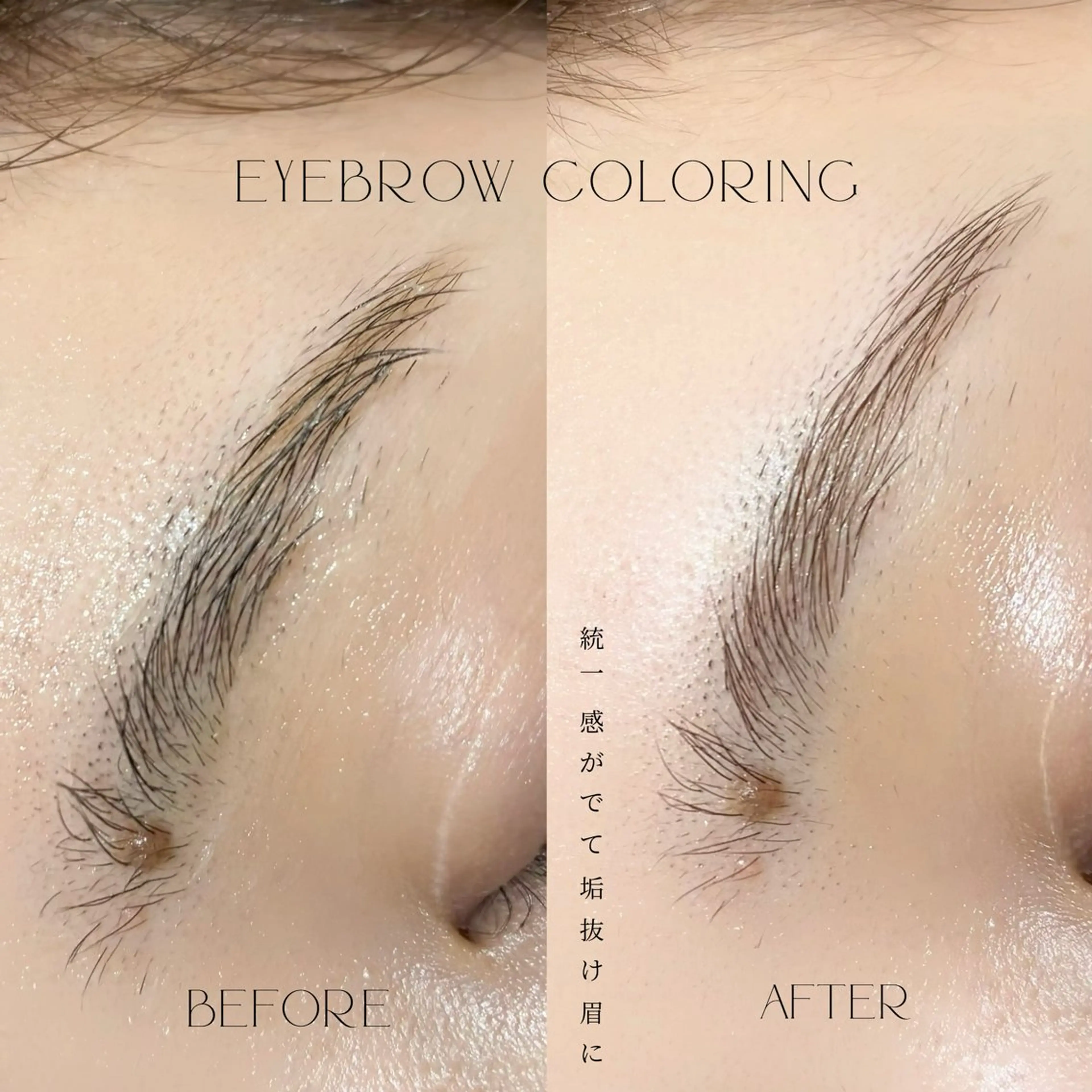 お試し価格🪡ヘアカラーされている方にオススメ❕眉毛カラーリング✨（土日祝＋550円）の写真