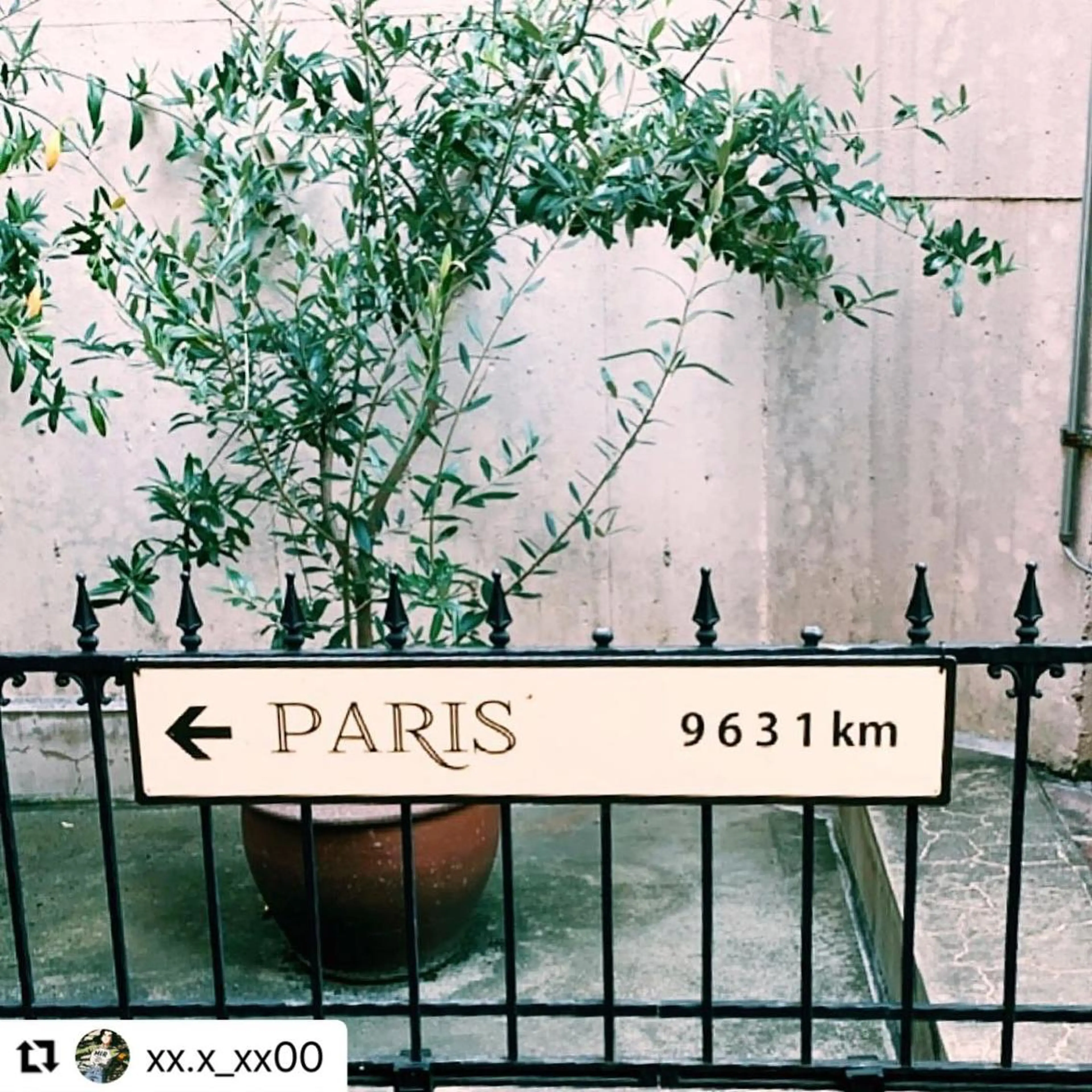 ミディアム カラー メンズ 🩷Eny terrace🩷のヘアスタイル