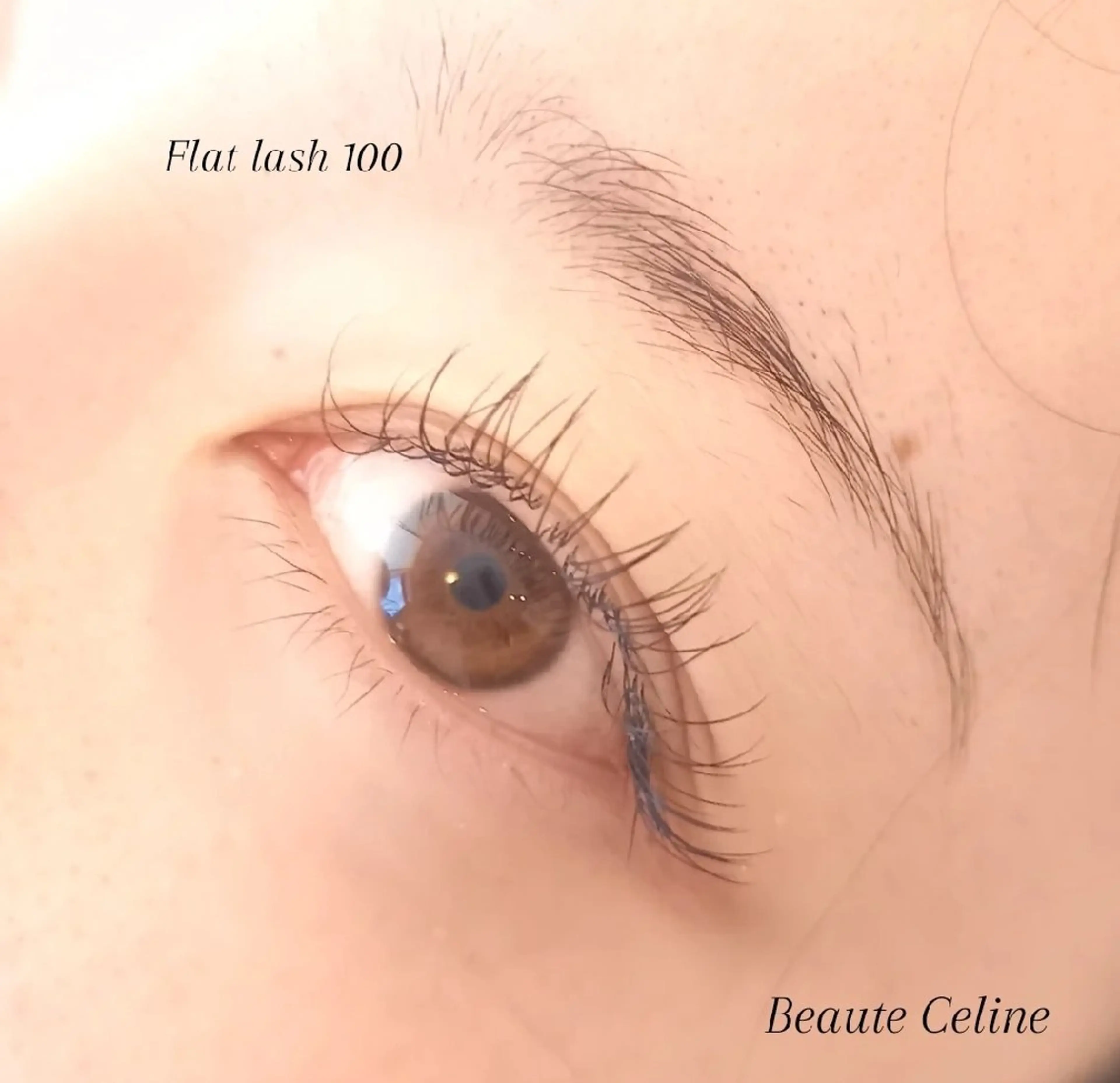 マツエク・マツパ マツエク beaute.celine所属・&healthy💜 ﾎﾞｰﾃCelineのマツエク・マツパデザイン