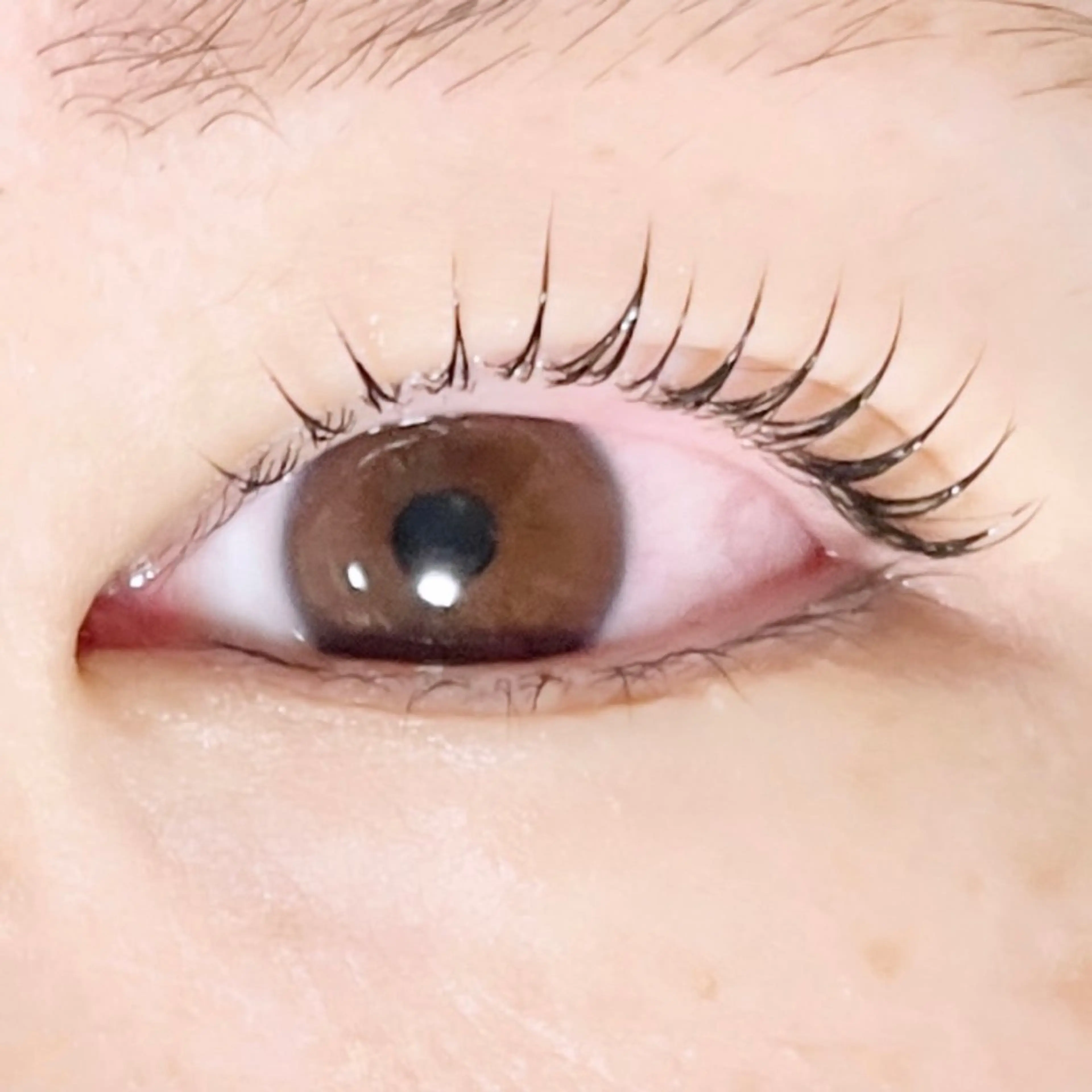 マツエク・マツパ TAKEO🖤 マリーテレジア藤が丘のマツエク・マツパデザイン