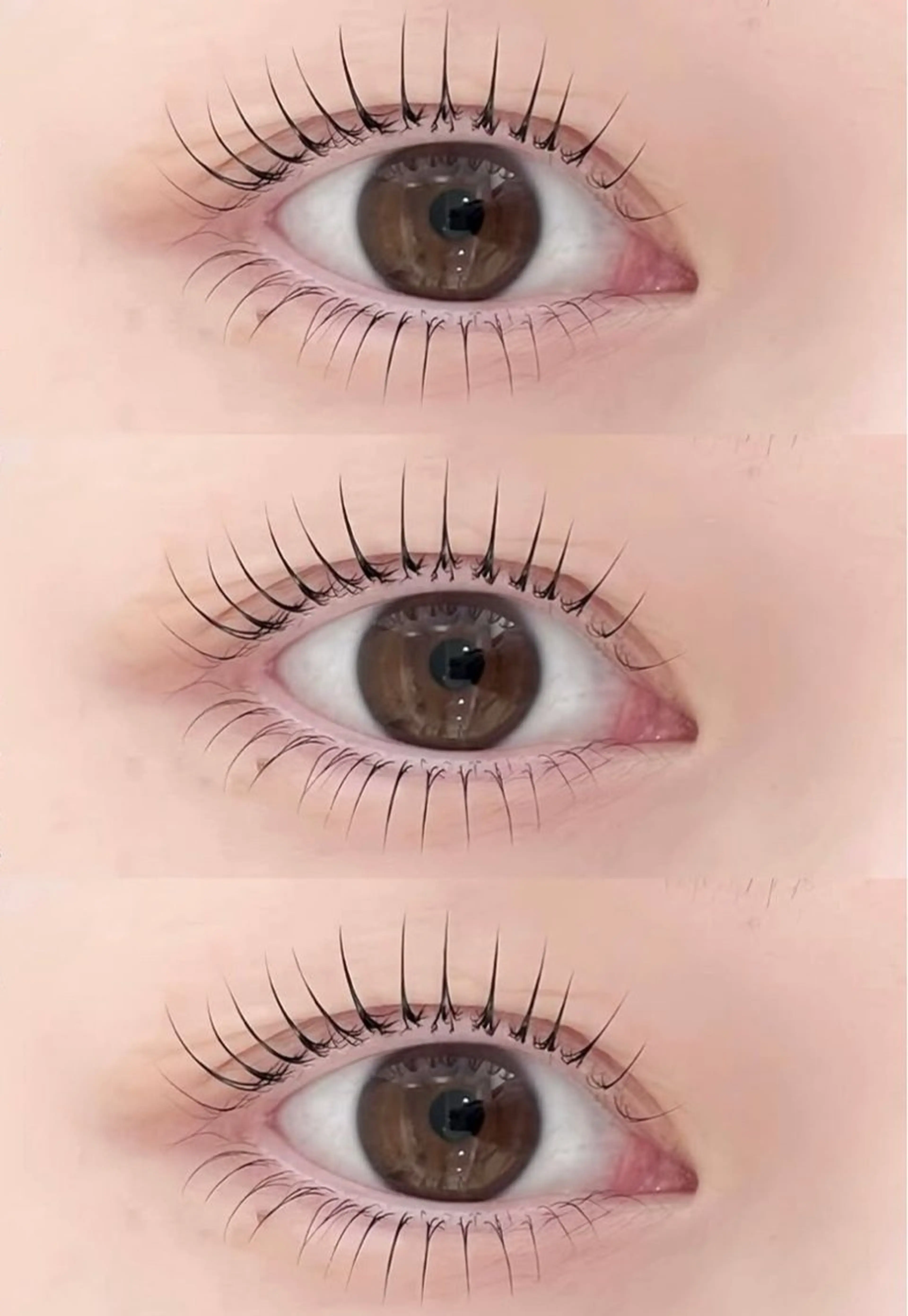 💎パリジェンヌ+下まつげパーマ+美容液コーティング💎の写真