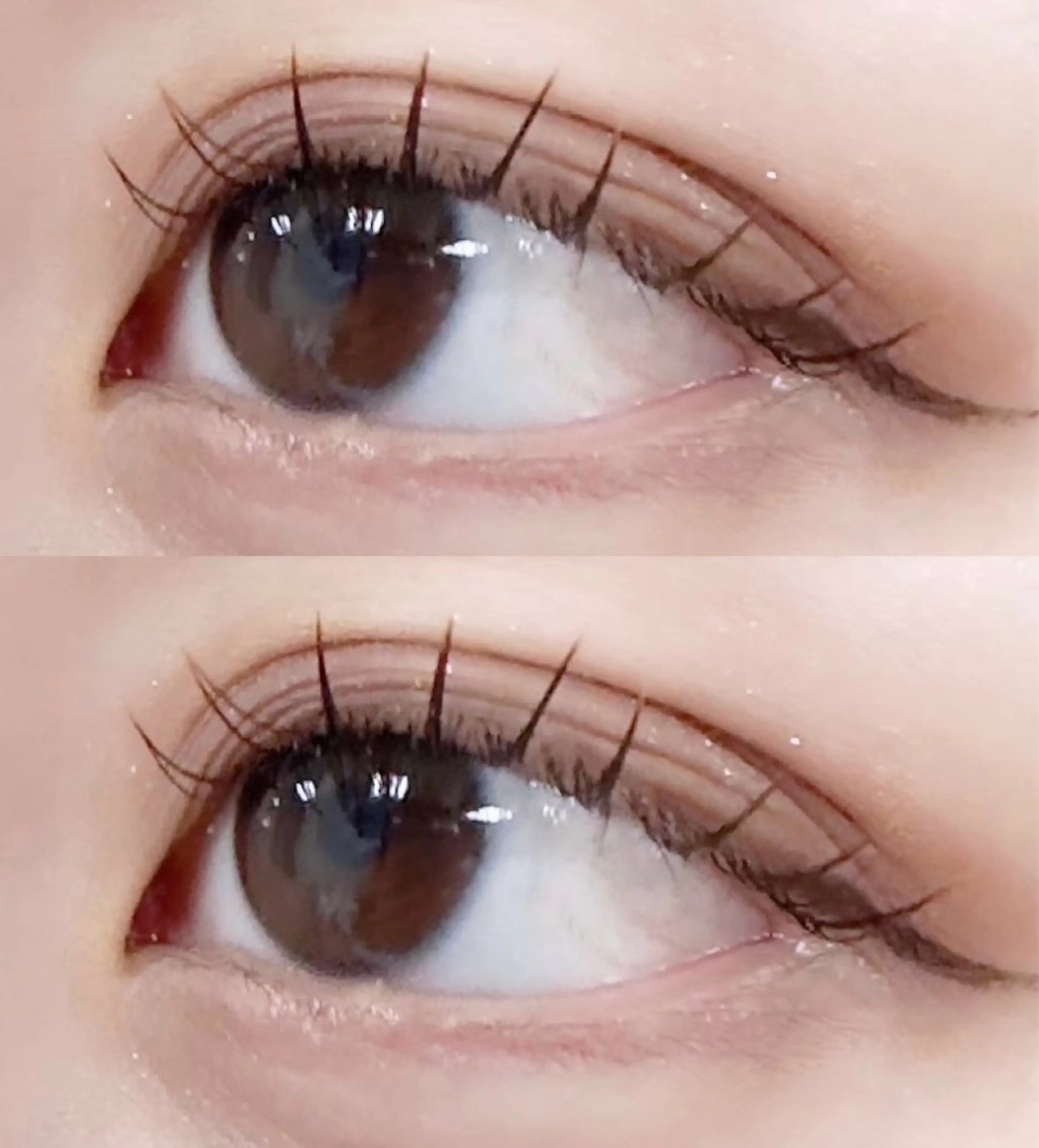 マツエク・マツパ まつげパーマ eve🐰束間まつ毛 /透明感カラーのマツエク・マツパデザイン