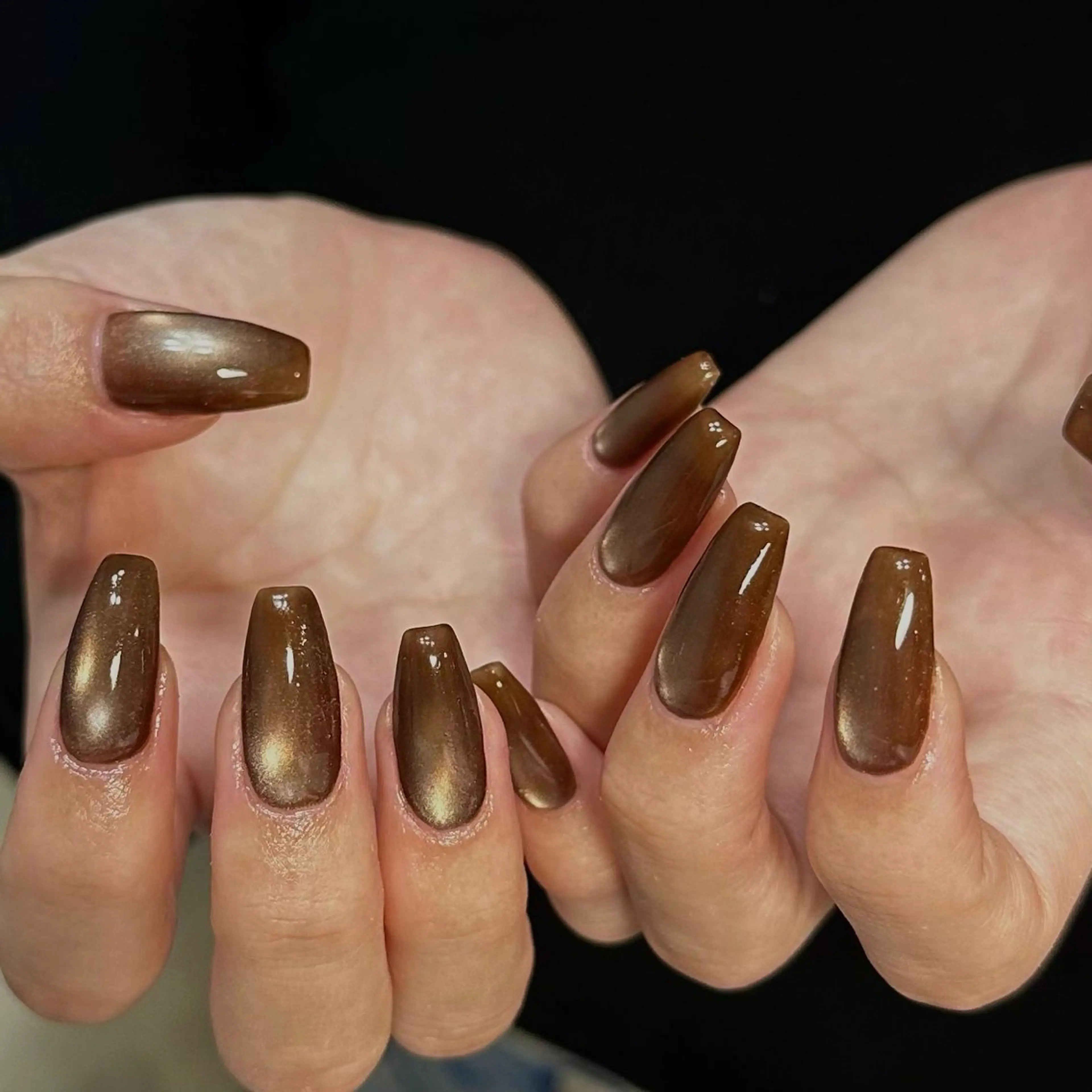 ネイル ブラウン マグネットネイル ハンドネイル ネイルサロン Ivy.のネイルデザイン