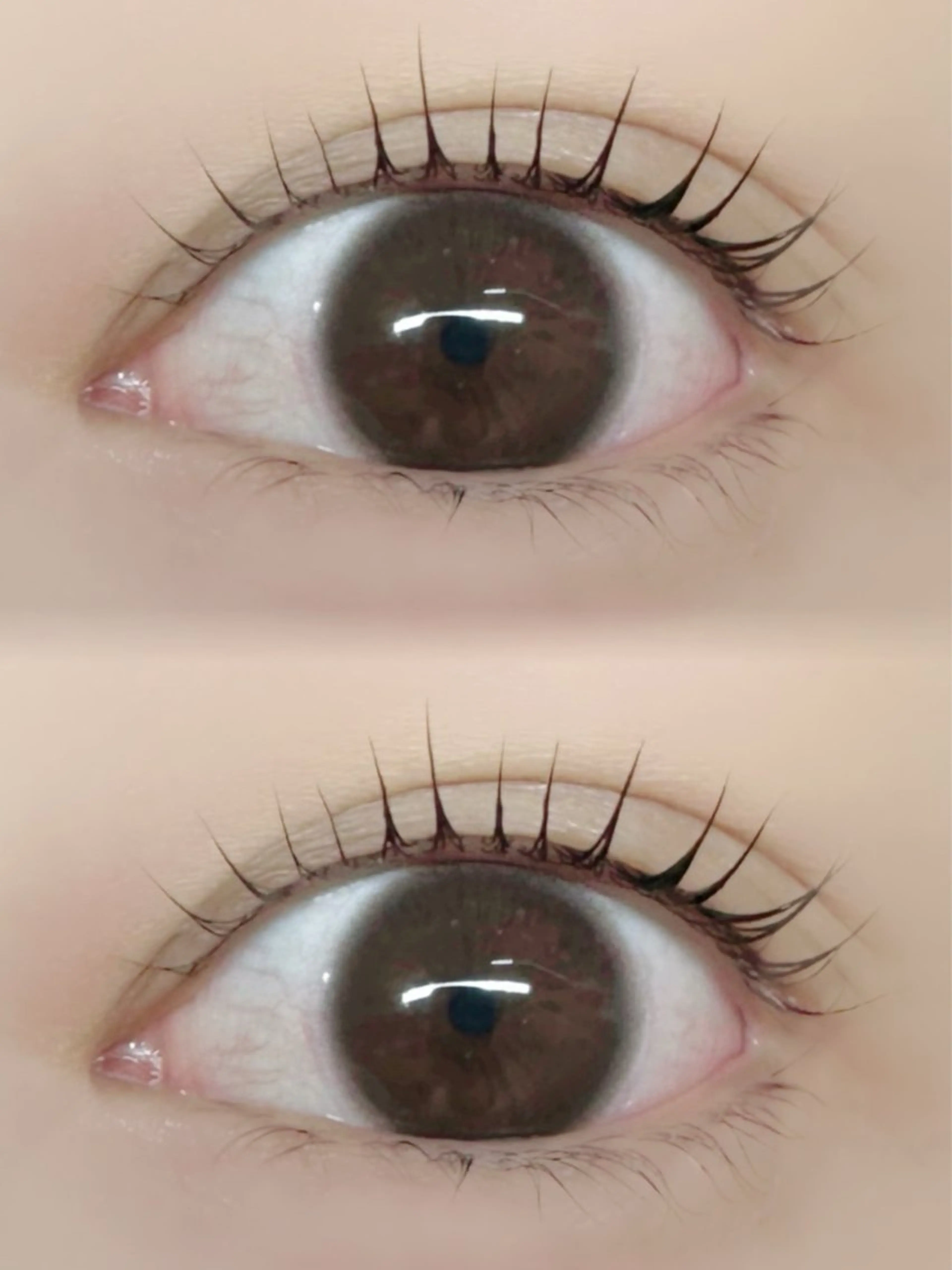 マツエク・マツパ パリジェンヌラッシュリフト マツパ FLEUR eyelashsalon所属・FLEUR 【フルール】のマツエク・マツパデザイン
