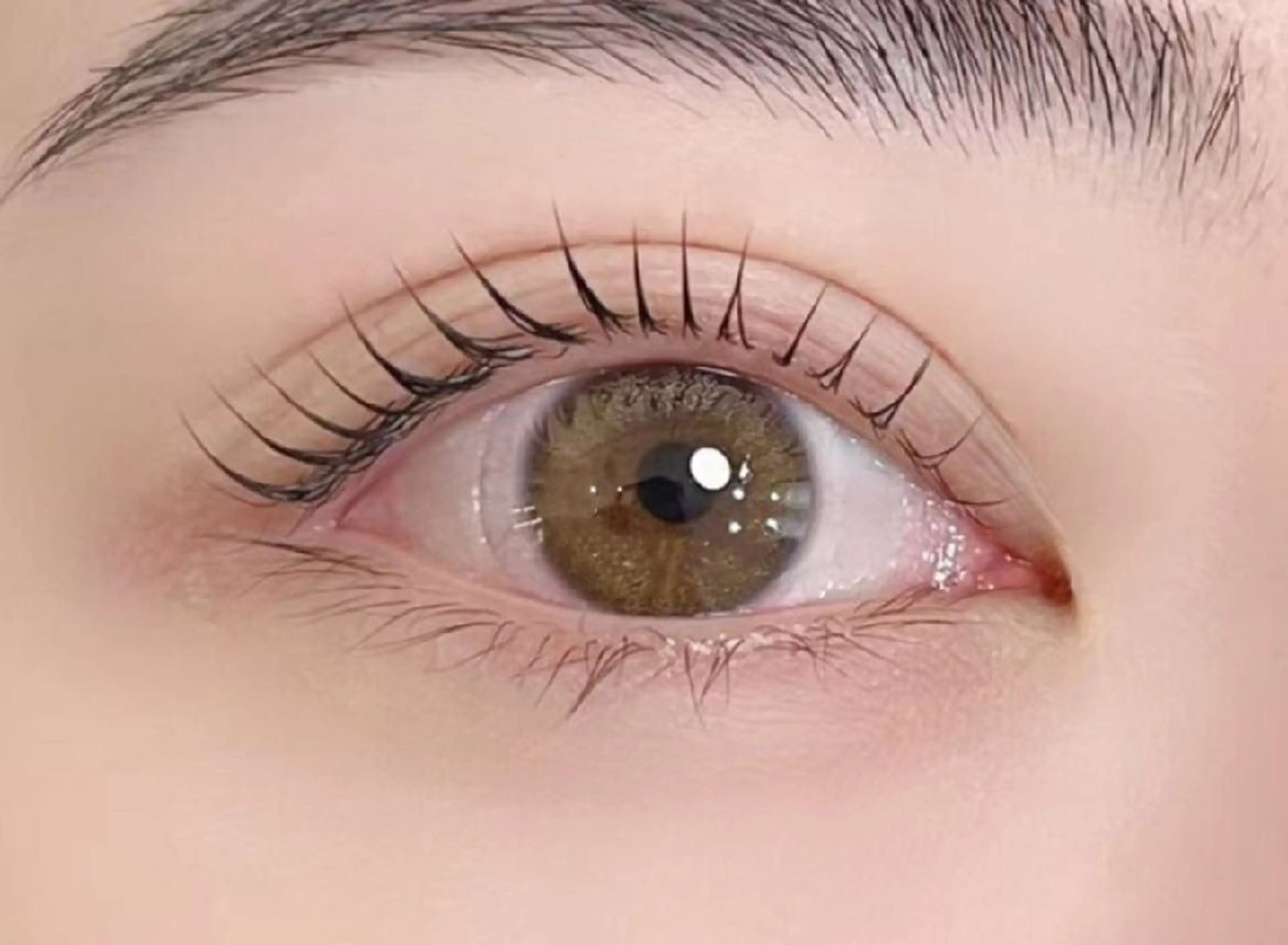 マツエク・マツパ アレグレス所属・アレグレス@池袋 🌹大人気店🌹のマツエク・マツパデザイン