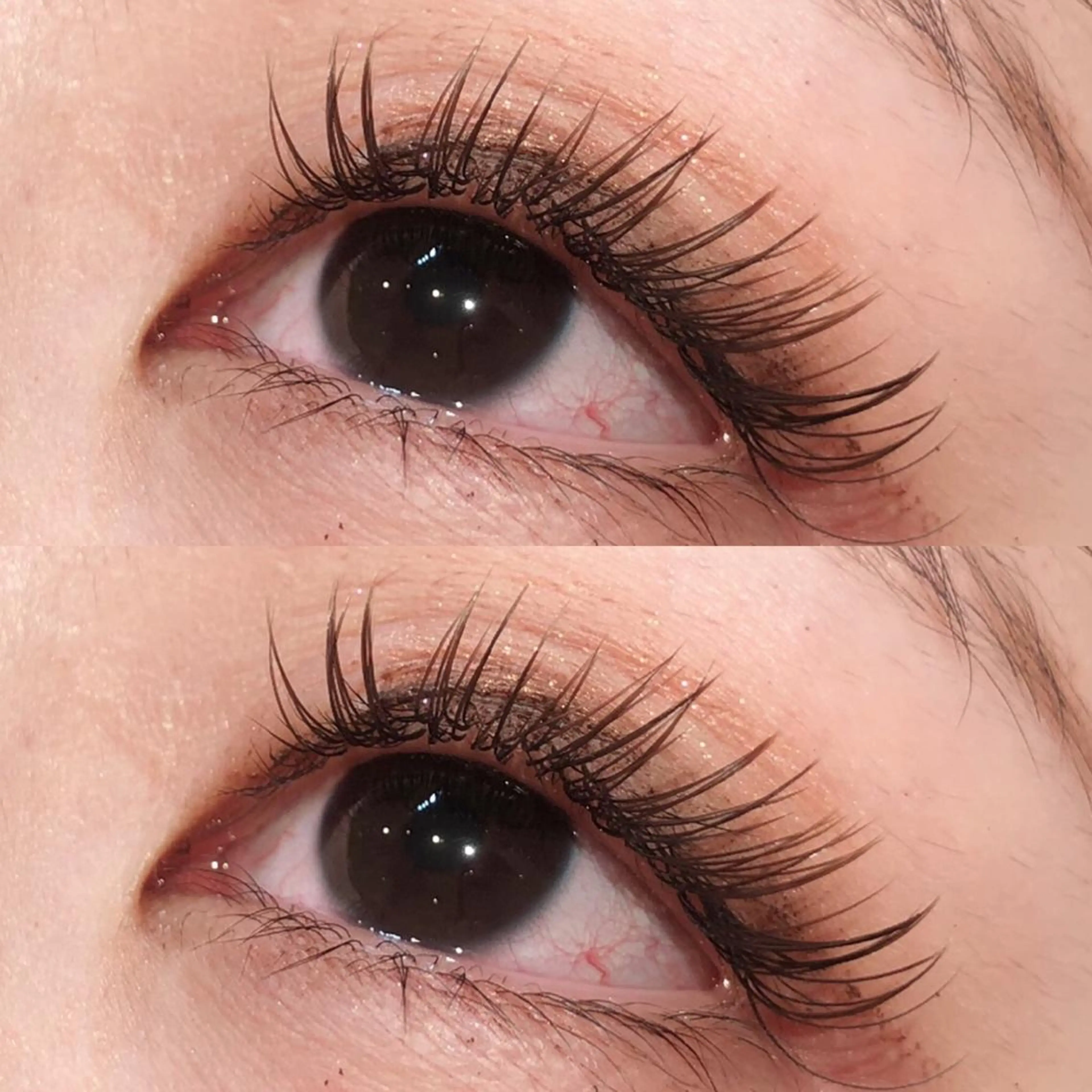 マツエク・マツパ Cカール カラーマツエク Luana北千住🩵 株木 美果のマツエク・マツパデザイン