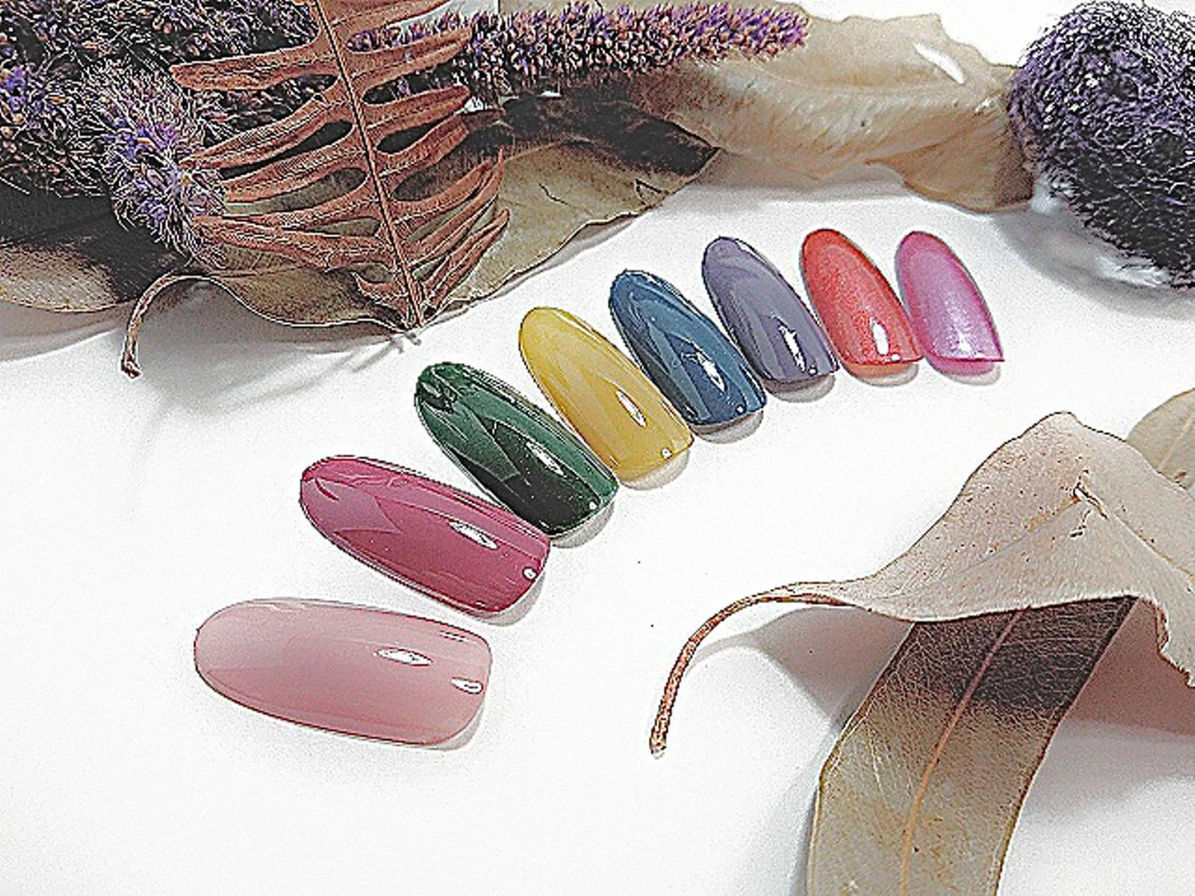 ネイル ワンカラーネイル hiyo🫧ネイル /渋谷💍🎀のネイルデザイン