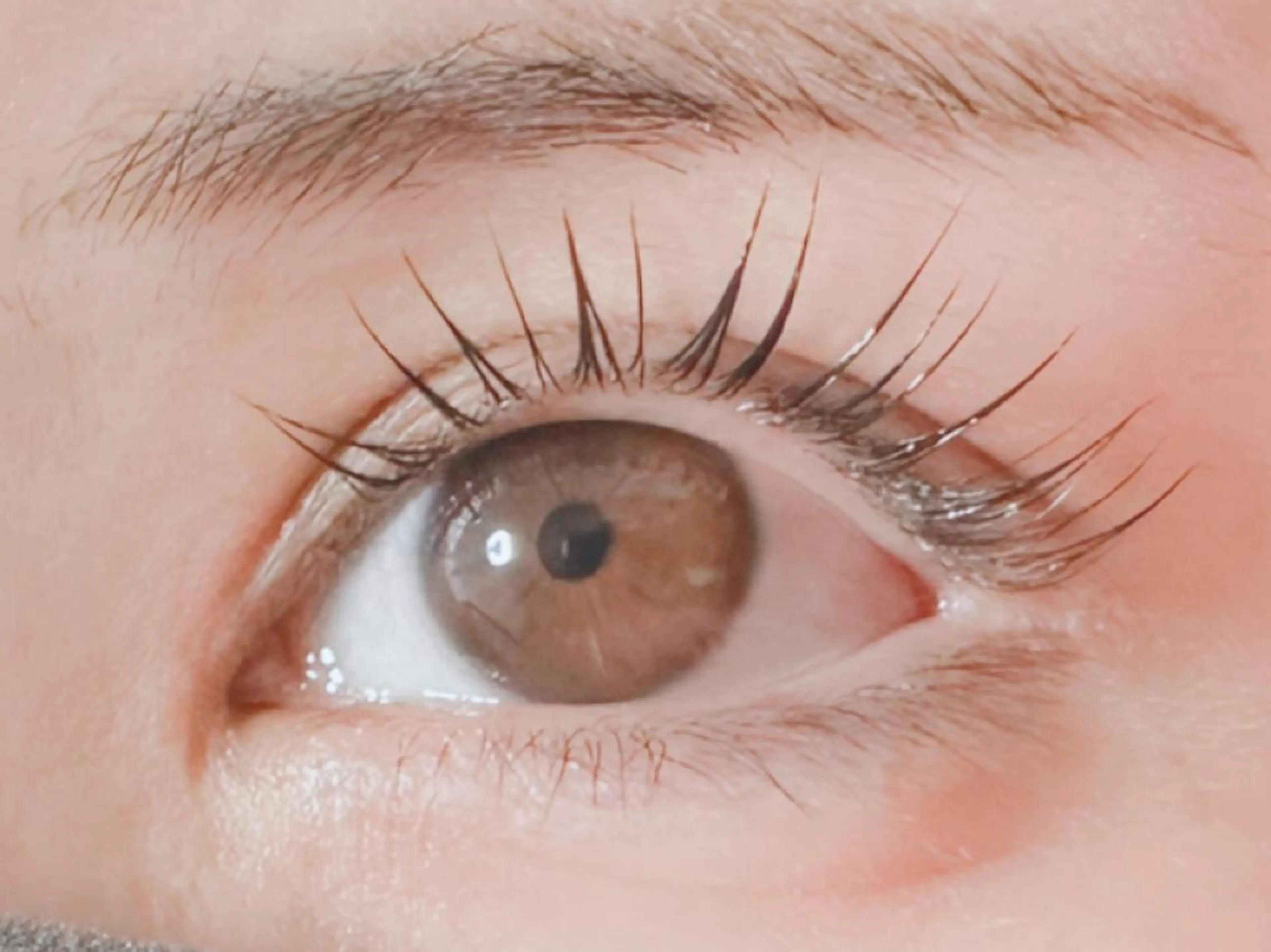 マツエク・マツパ パリジェンヌラッシュリフト 𝐉𝐎𝐋𝐈 アイリスト ❤︎のマツエク・マツパデザイン