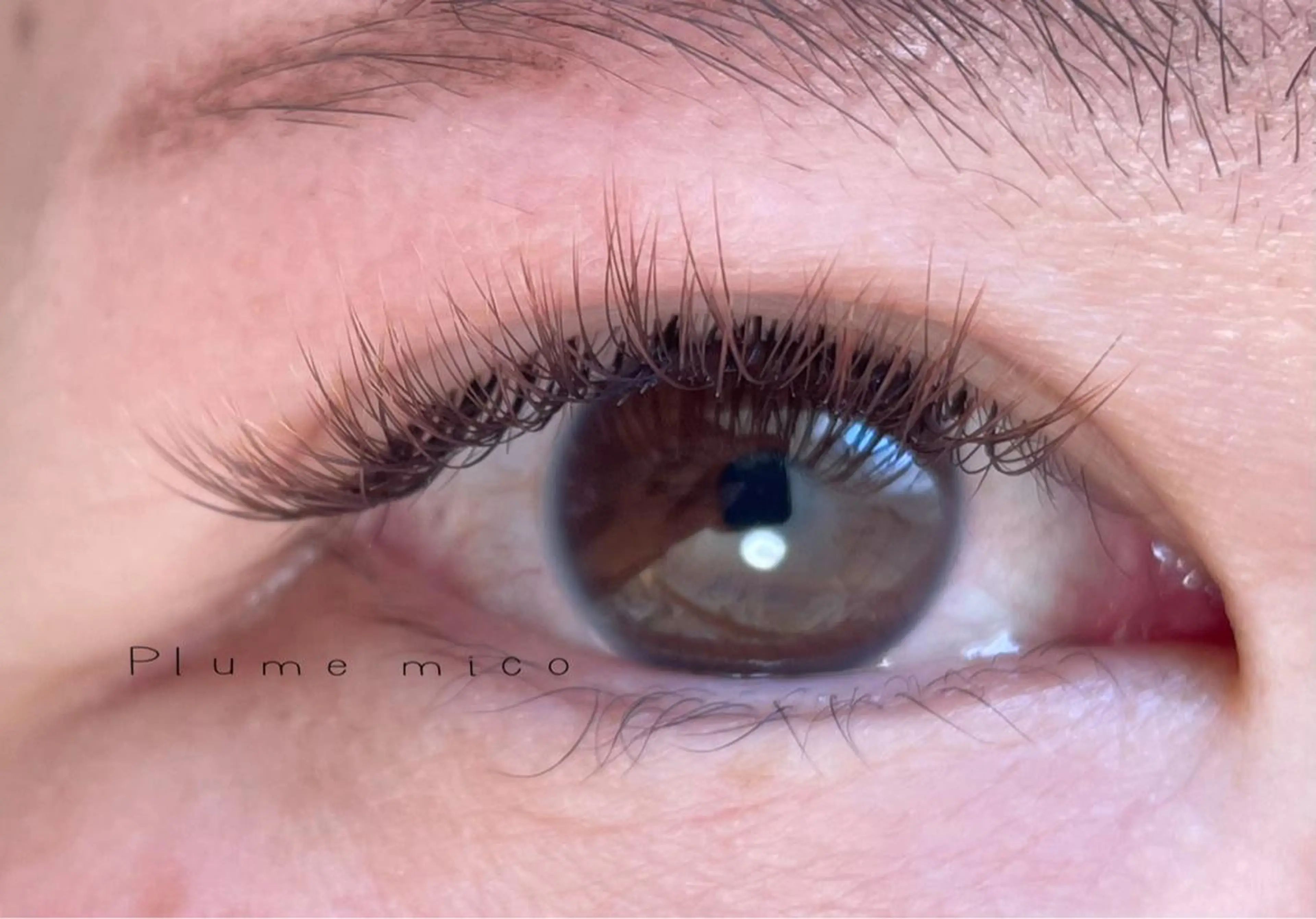 マツエク・マツパ マツエク Plume micoのマツエク・マツパデザイン