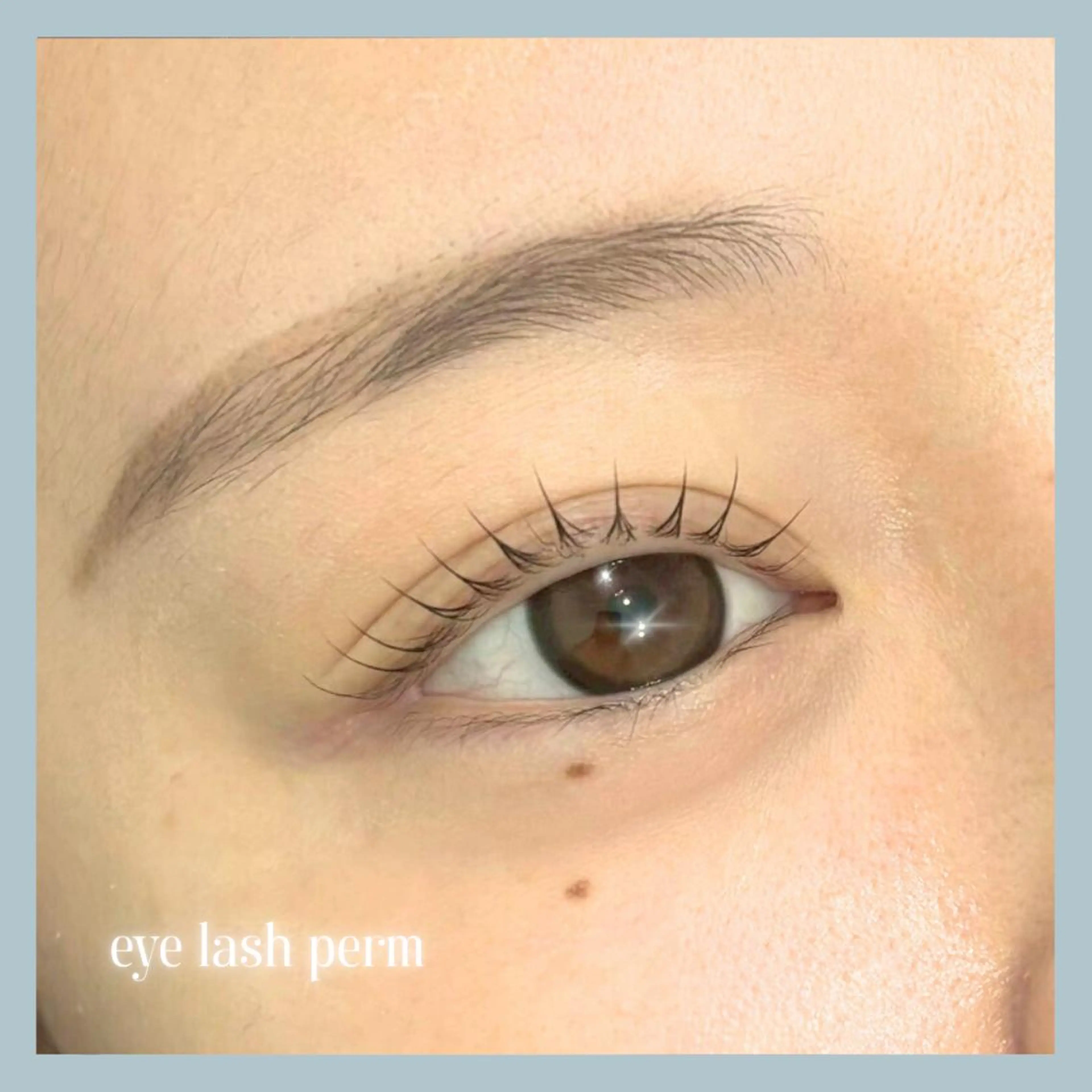 🏫🏫ミニモ学割🏫🏫大人気！眉毛ワックス+まつげパーマ　通常¥9,000 ＞＞＞ ¥6,900の写真