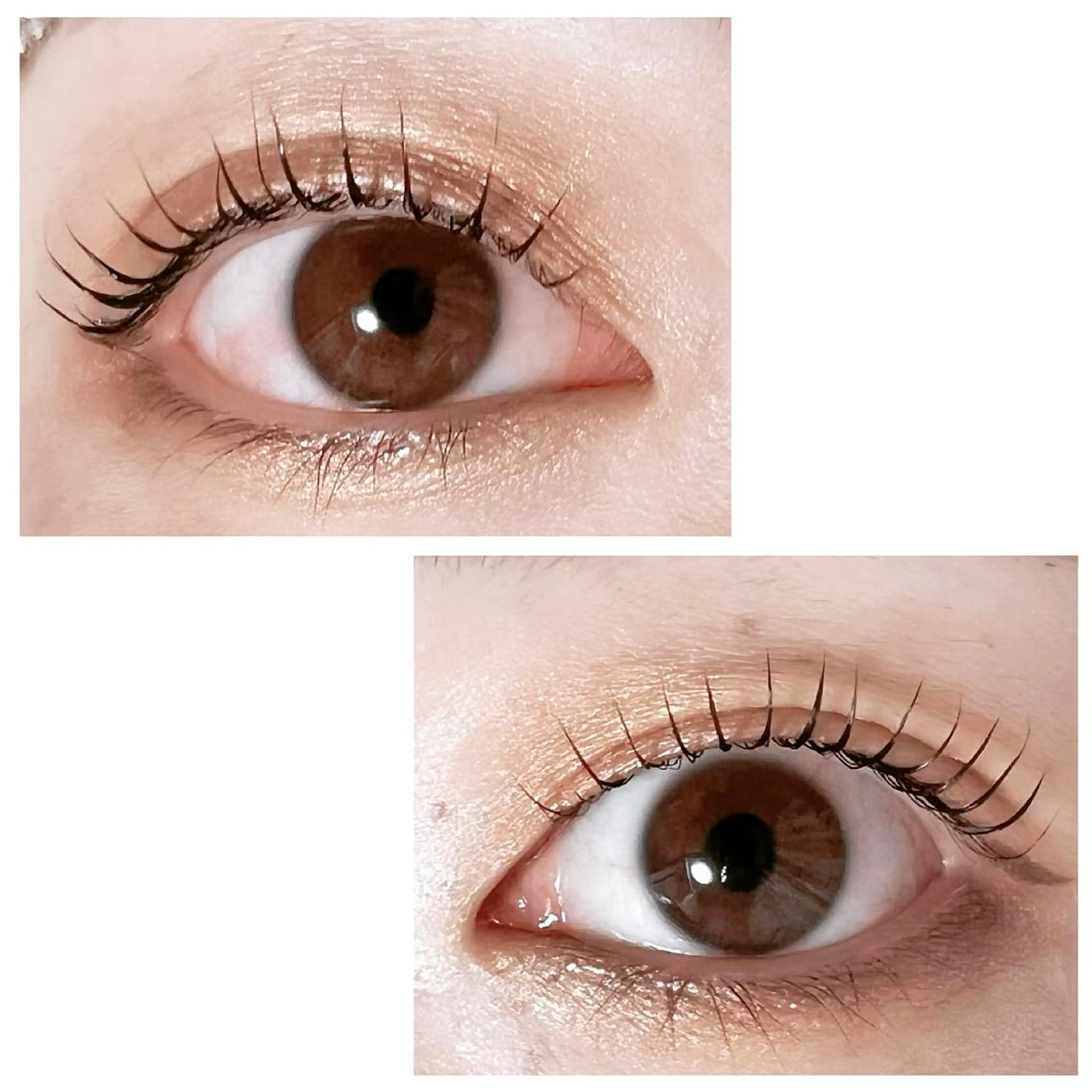 マツエク・マツパ Adorer(アドレ)所属・Adorer 🍀アドレ🍀のマツエク・マツパデザイン