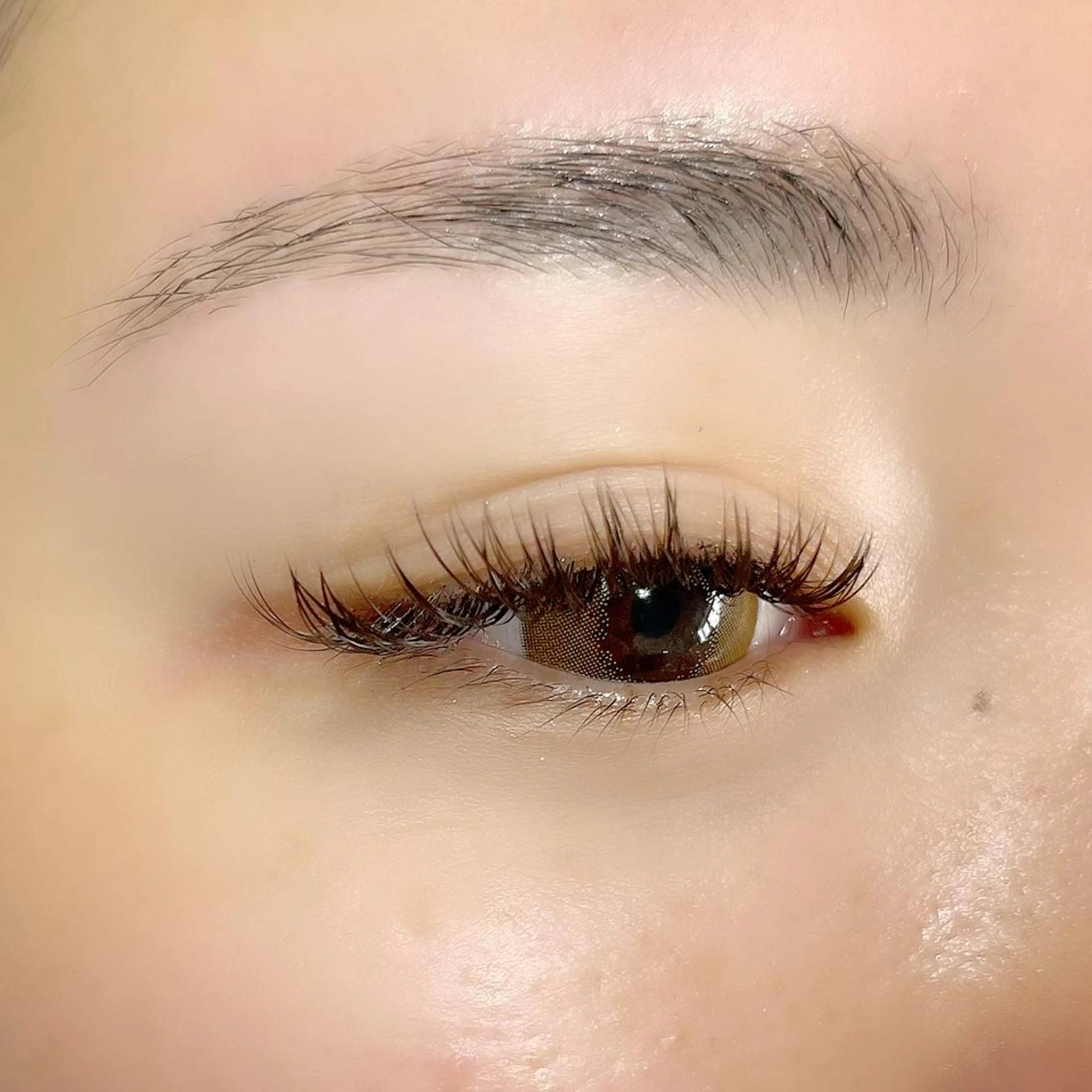 LEDマツエク 160本 上下振り分けOKの写真