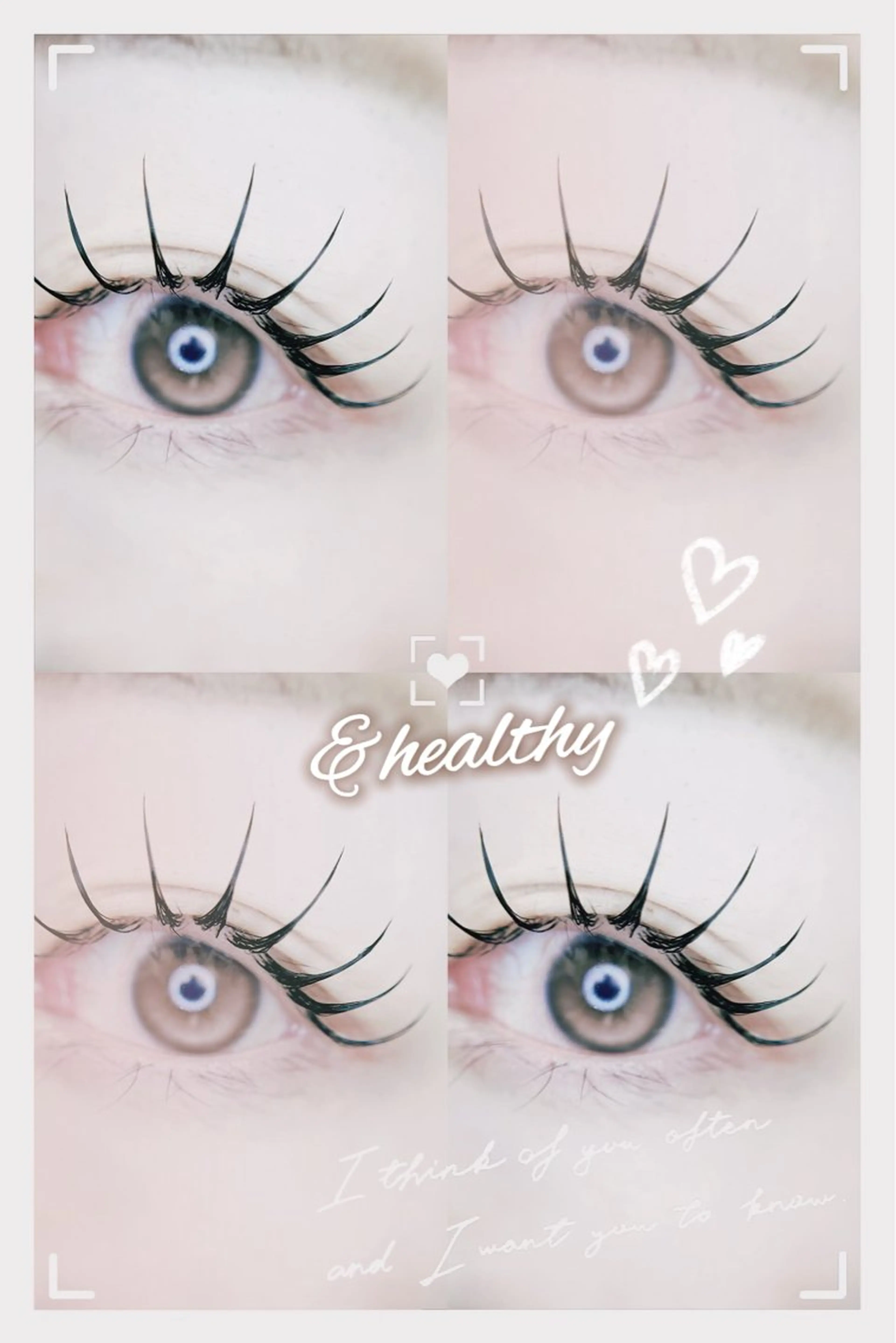 マツエク・マツパ キュート マツエク eyelist. mizuki🐈⬛の眉毛・アイブロウイメージ