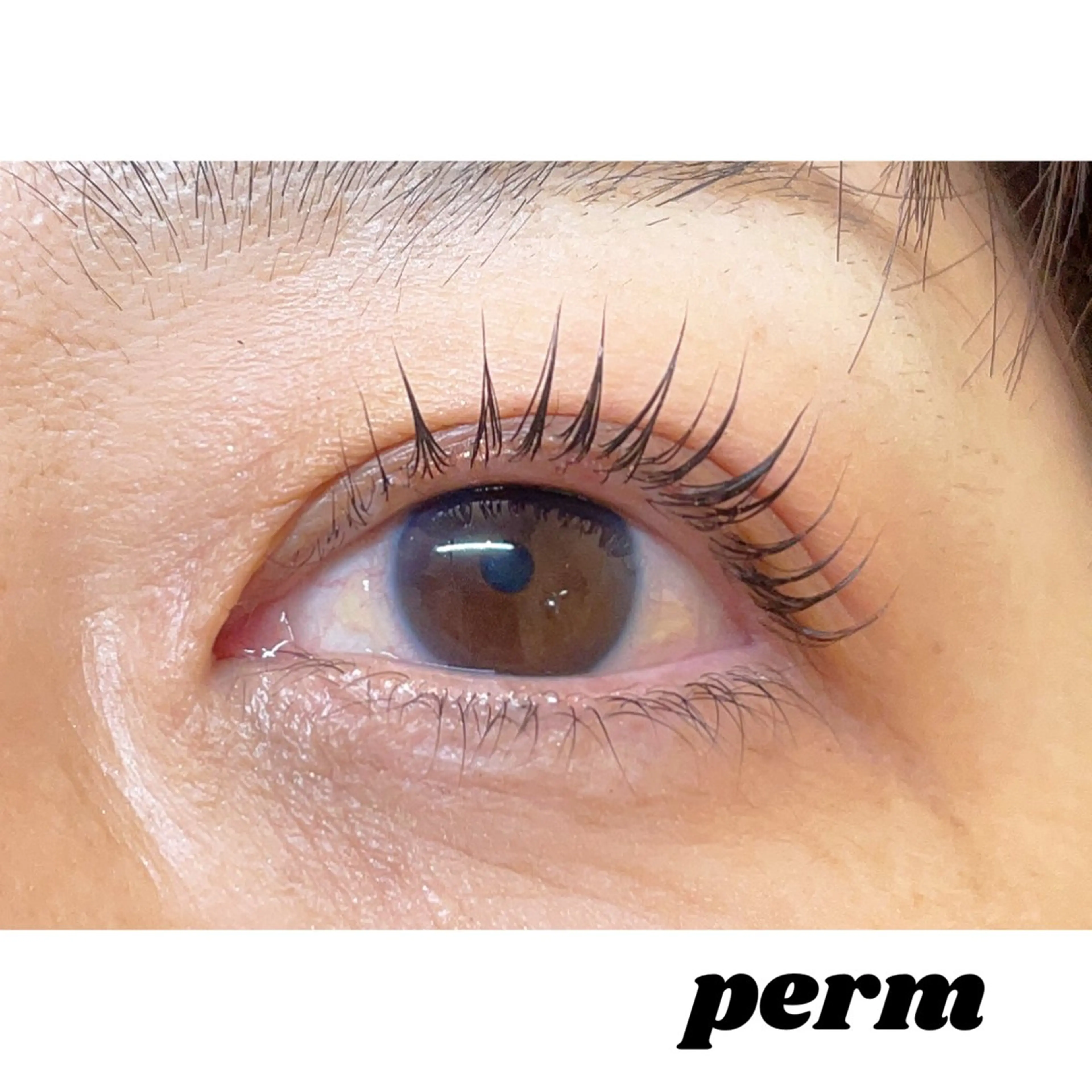 マツエク・マツパ まつげ&眉サロン a la mode 樟葉店所属・a la mode 末澤 ꫂ ၴႅၴのマツエク・マツパデザイン