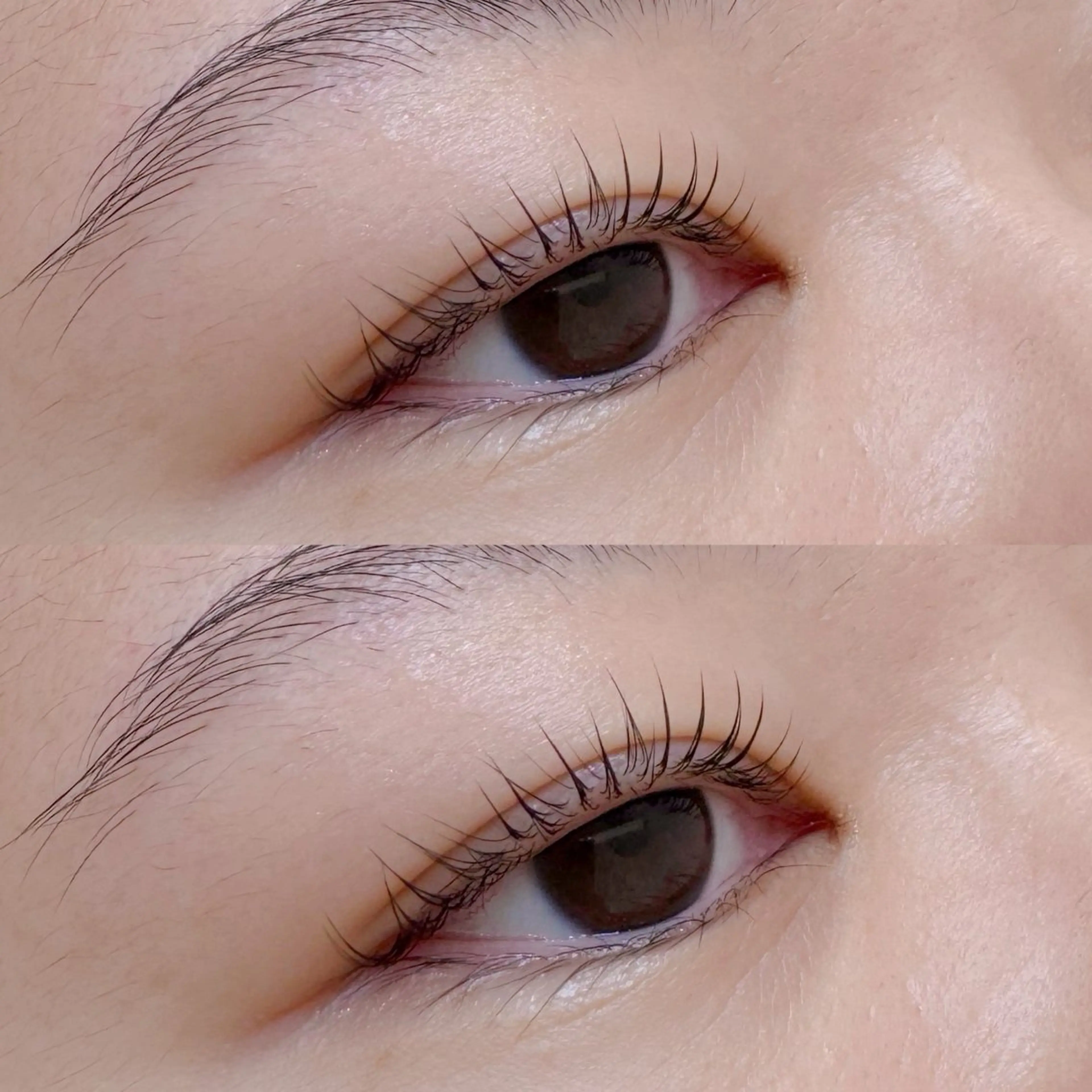 マツエク・マツパ パリジェンヌラッシュリフト 🐶 IZUMI 🐾の眉毛・アイブロウイメージ