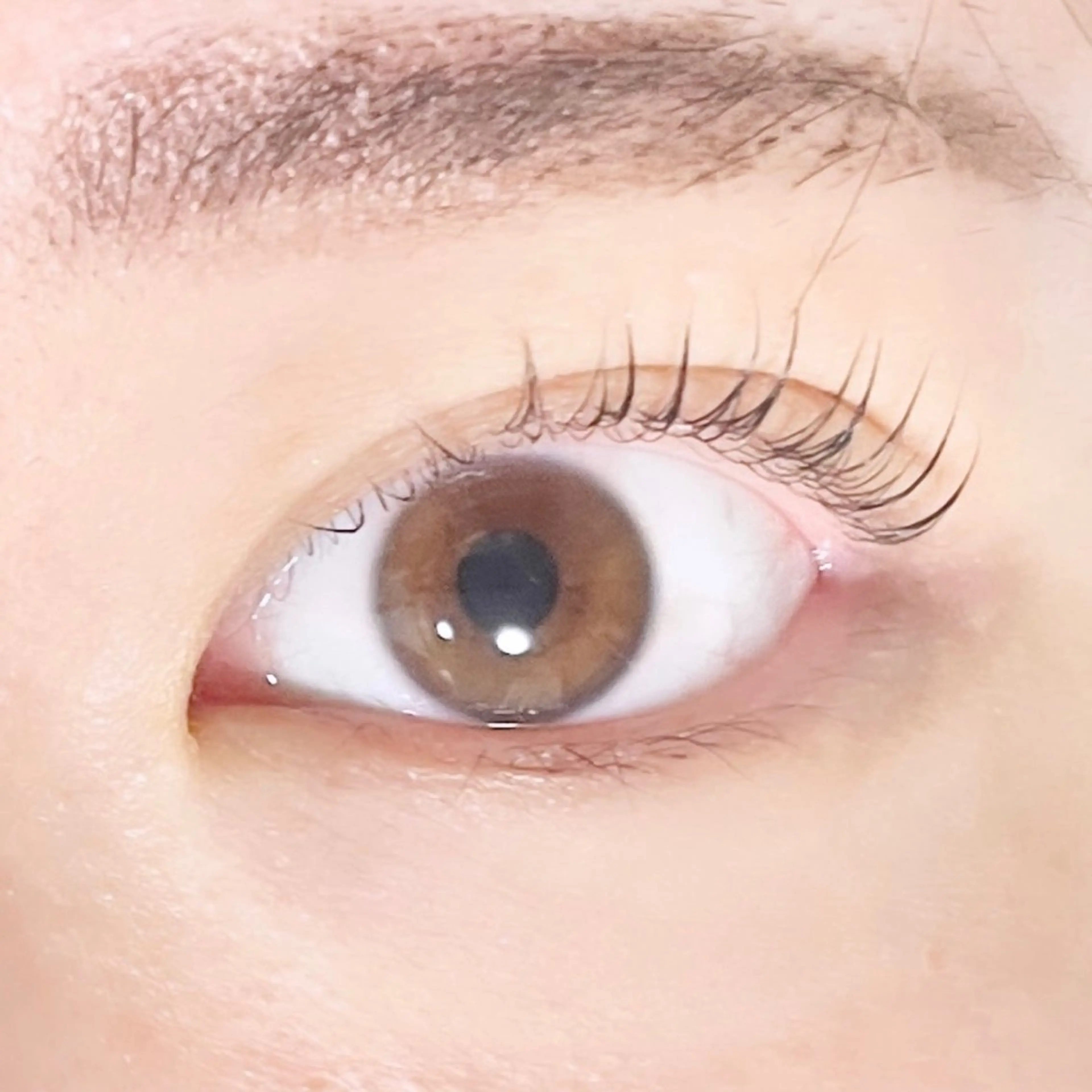 マツエク・マツパ TAKEO🖤 マリーテレジア藤が丘のマツエク・マツパデザイン