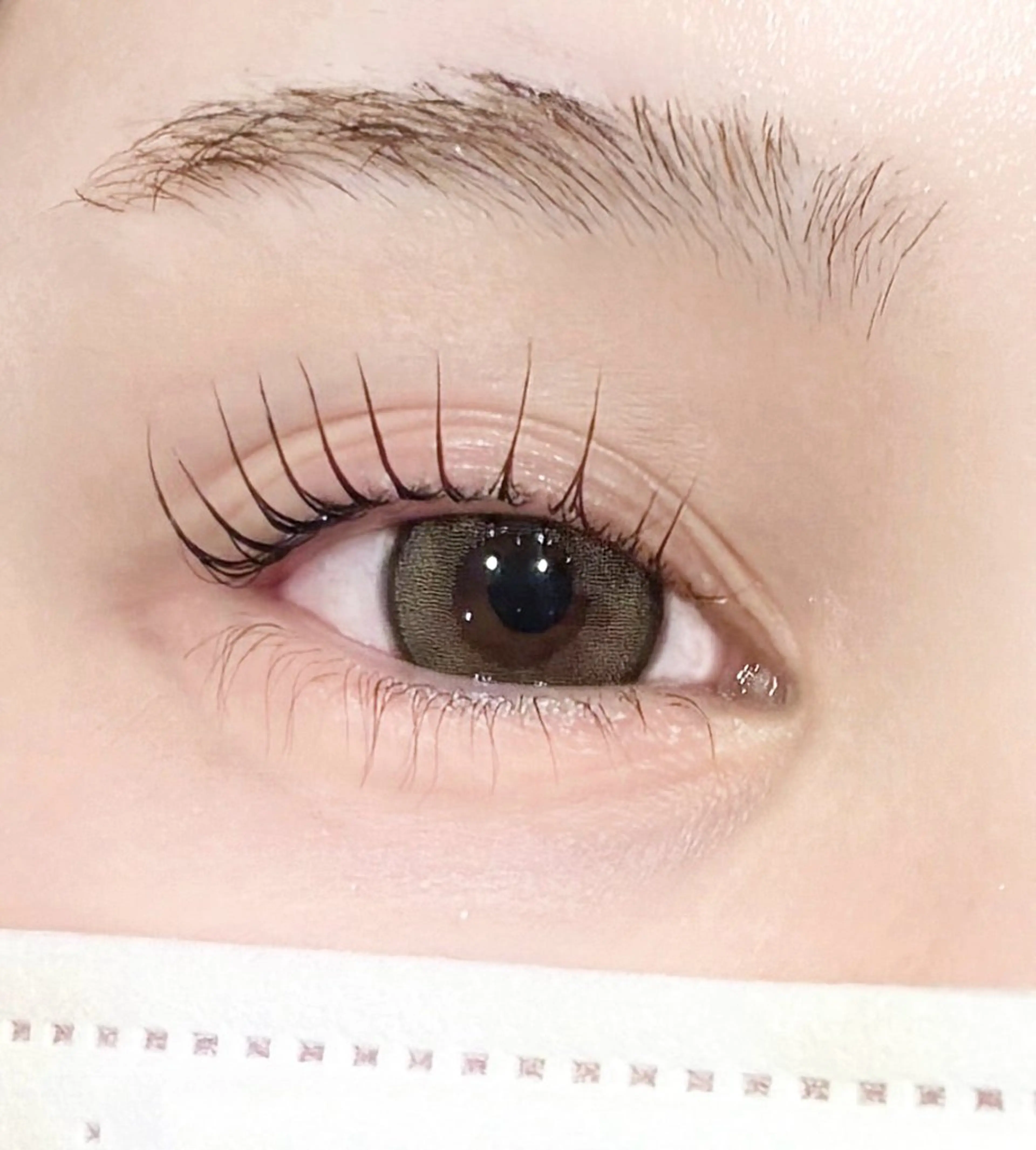 マツエク・マツパ パリジェンヌラッシュリフト 一重×まつ毛パーマ マツパ 【MISAKI】 ALRE♡小山店のマツエク・マツパデザイン