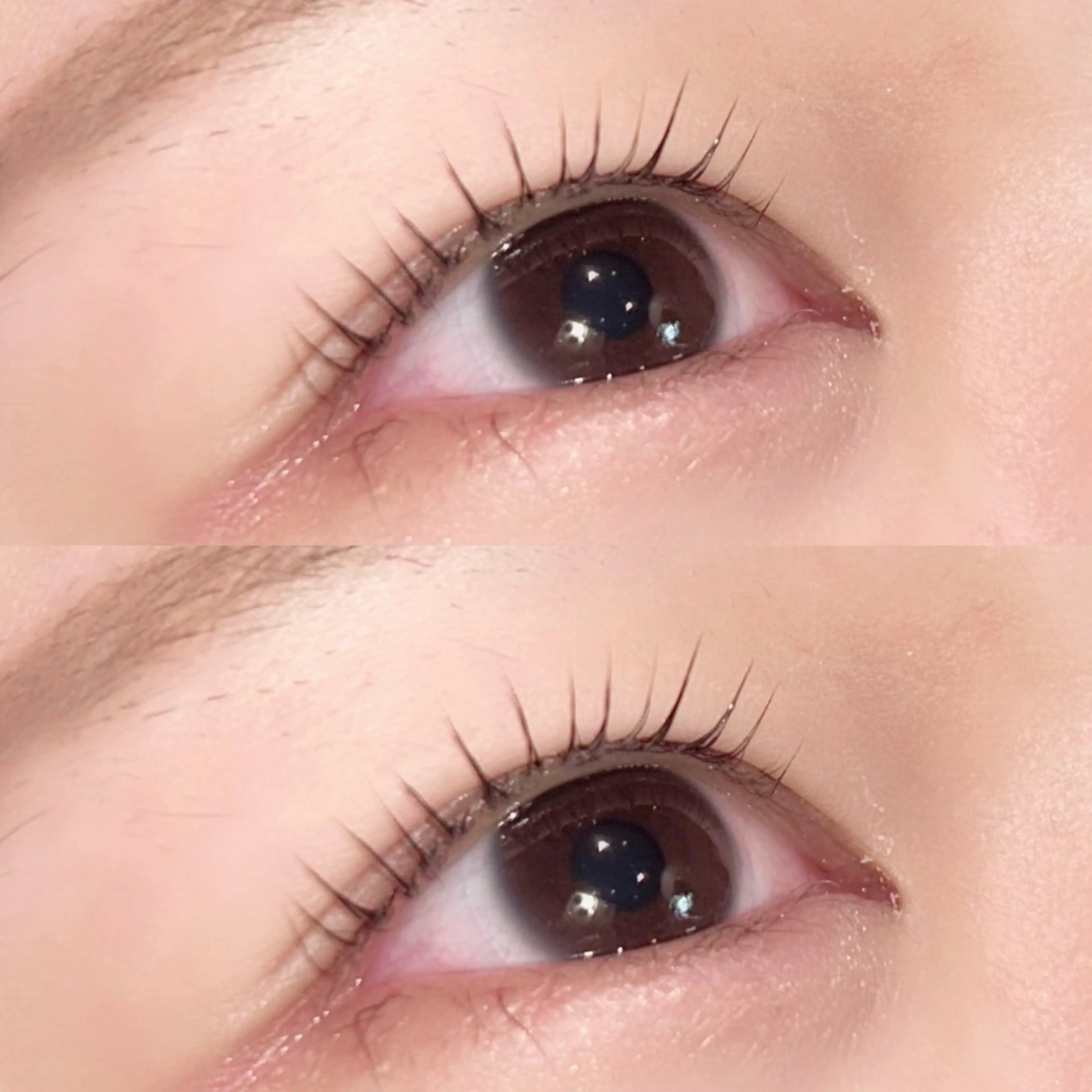 マツエク・マツパ マツパ NARUMI/ マツエク/パリ/束感のマツエク・マツパデザイン