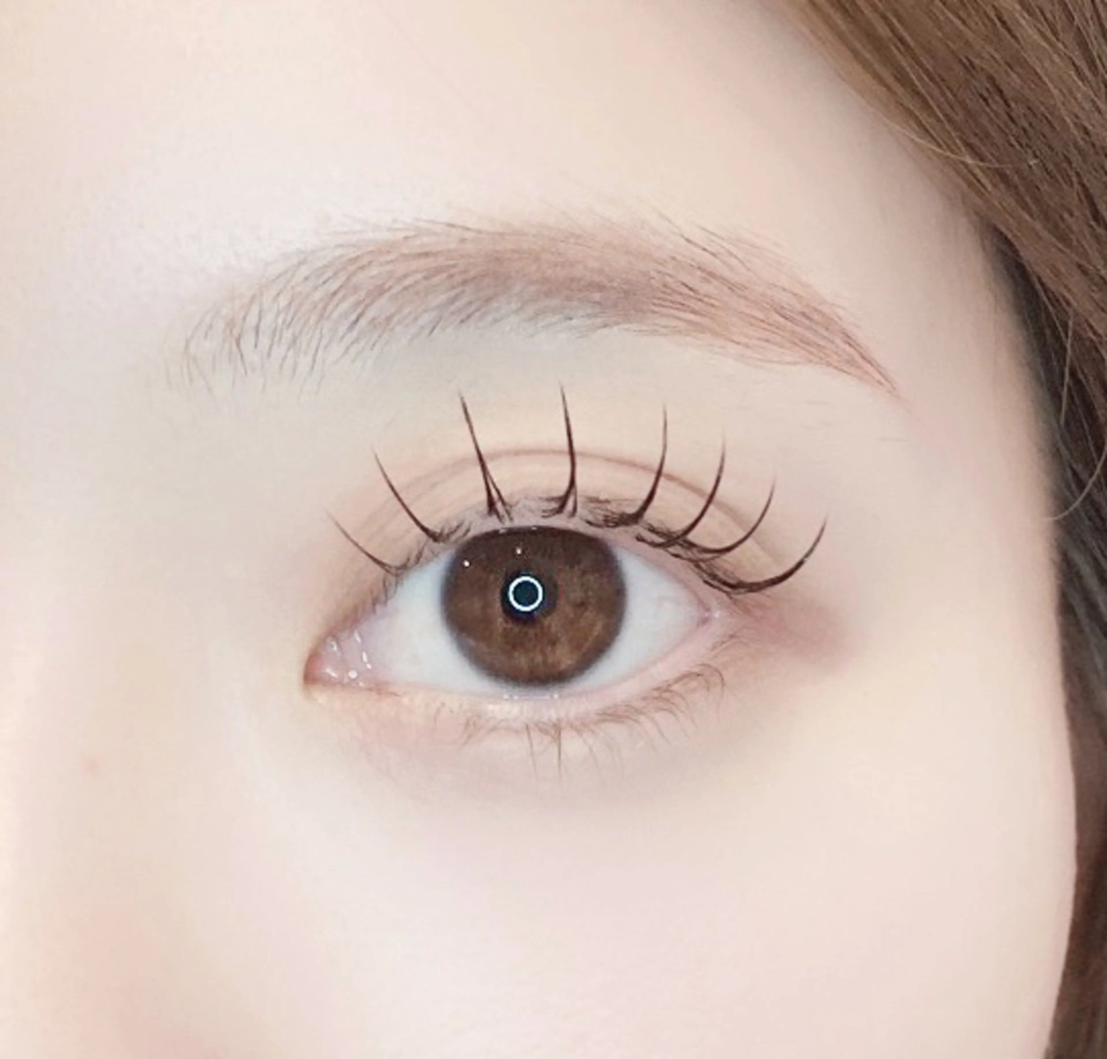 LEDマツエク両目60本 無料 11/3(月)13:20  11/4(火)13:00  11/5(水)  12:00の写真