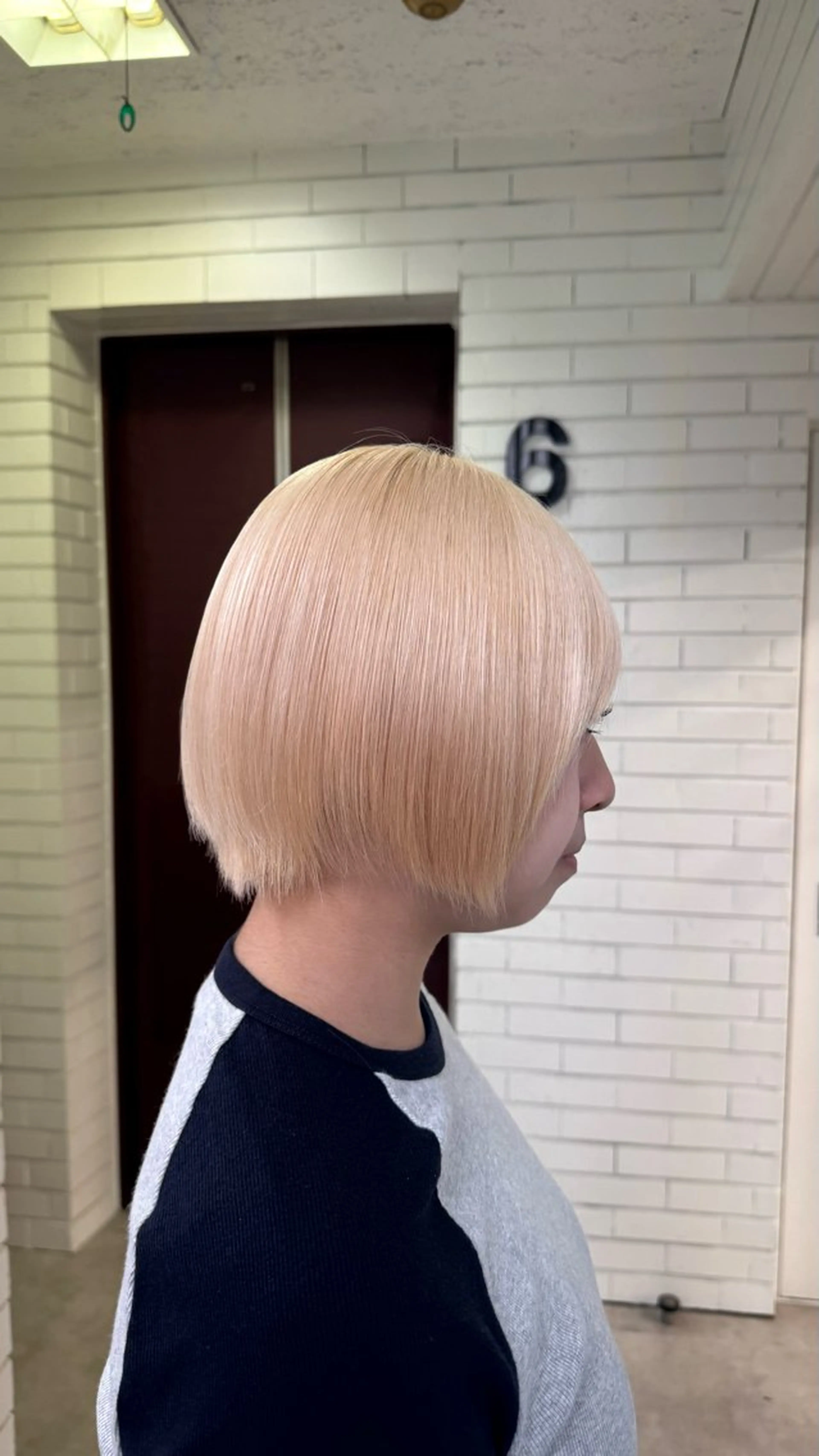 ショート カラー ZYNX所属・MAHIRO/複雑 履歴/ハイトーンのヘアスタイル