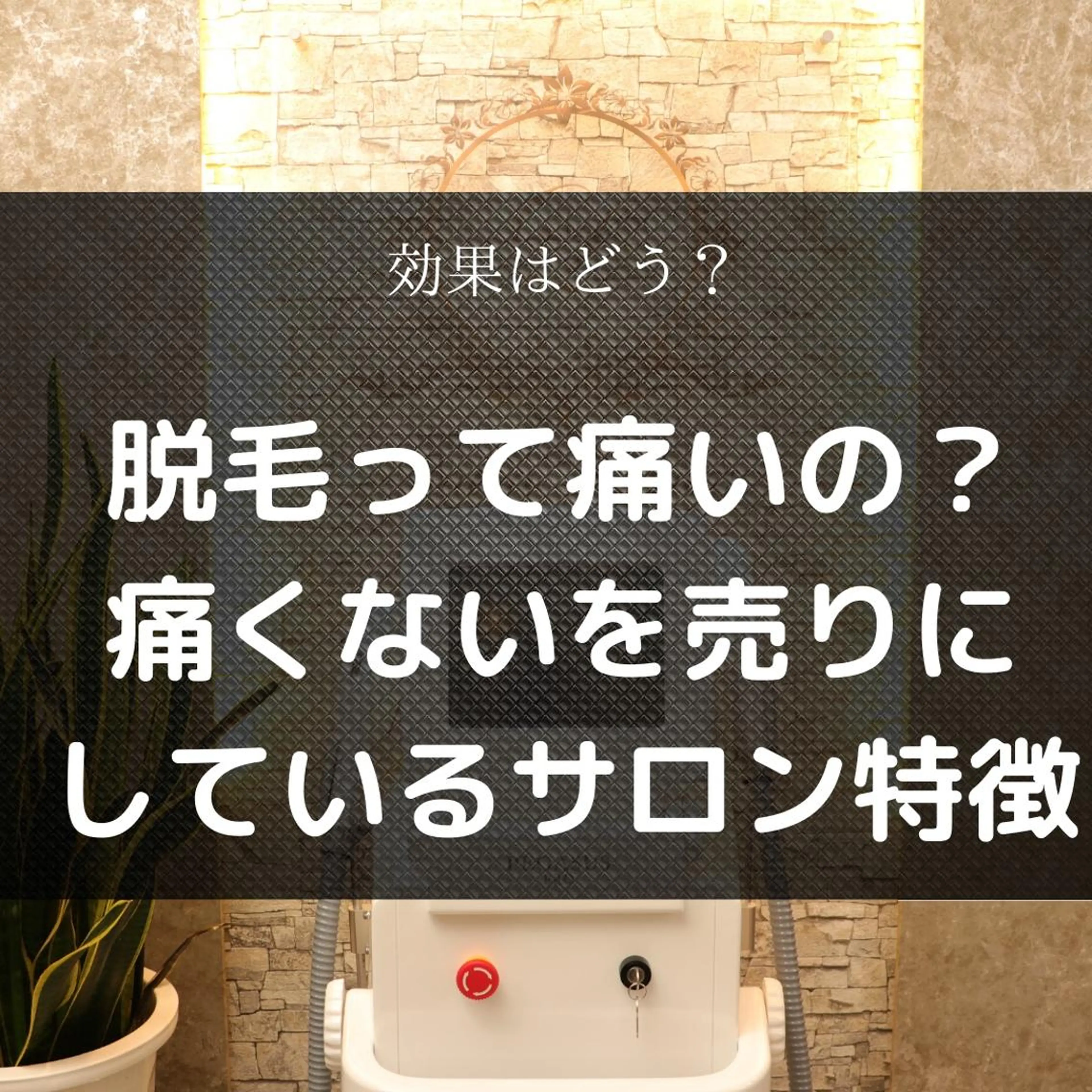 メンズ 20代から始める脱毛 salonLEPIAのエステ・リラクイメージ