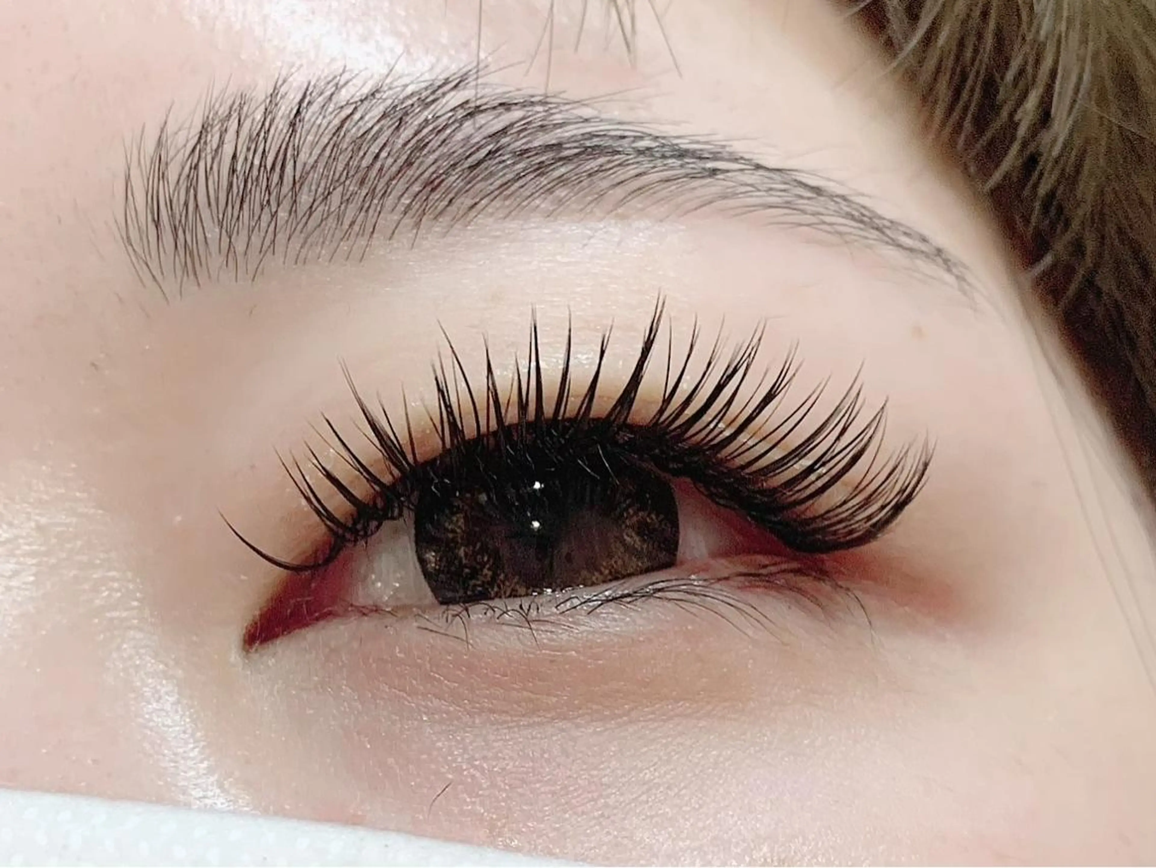 マツエク・マツパ アイブロウ バインドロック 池袋駅韓国風🇰🇷 束感💗Tomoのマツエク・マツパデザイン